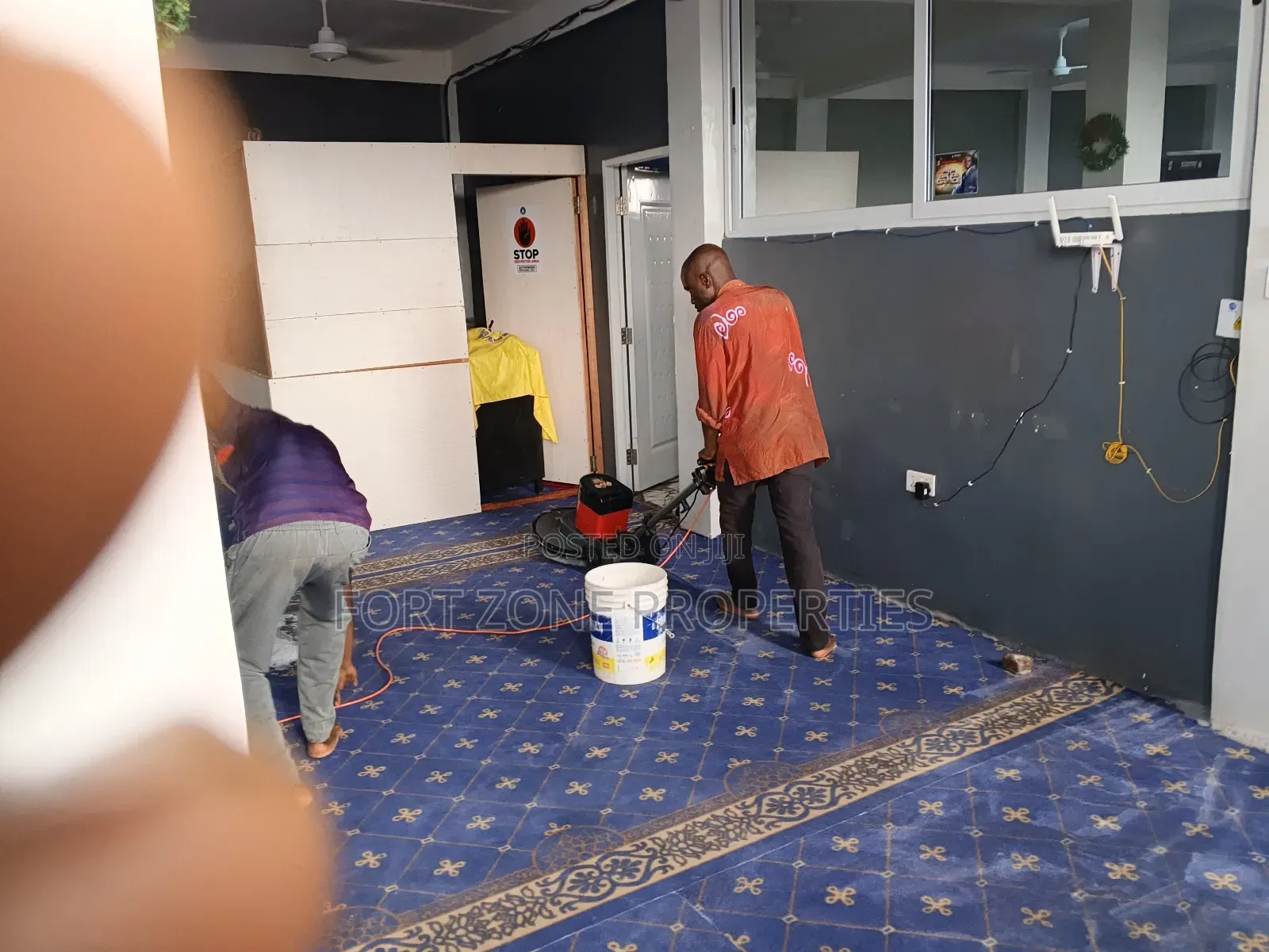 Professional Carpet Cleaning