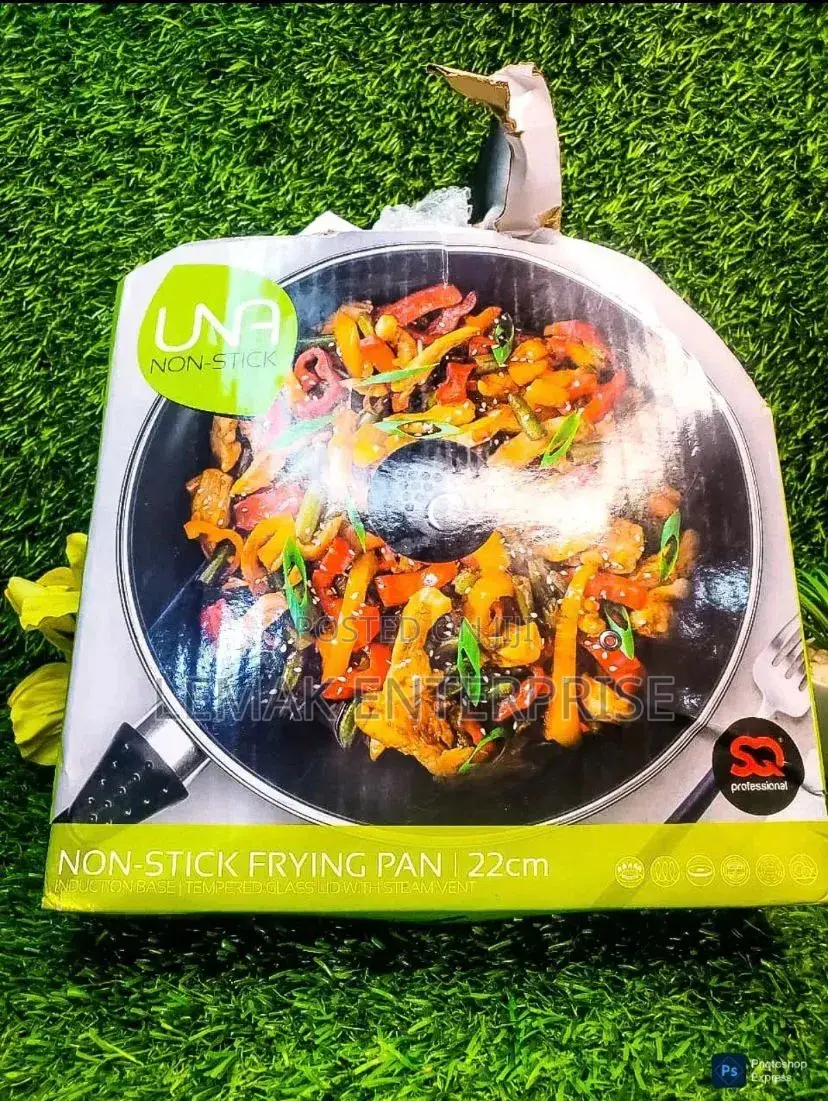 Sq Professional Non-Stick Frying Pan With Lid 22cm