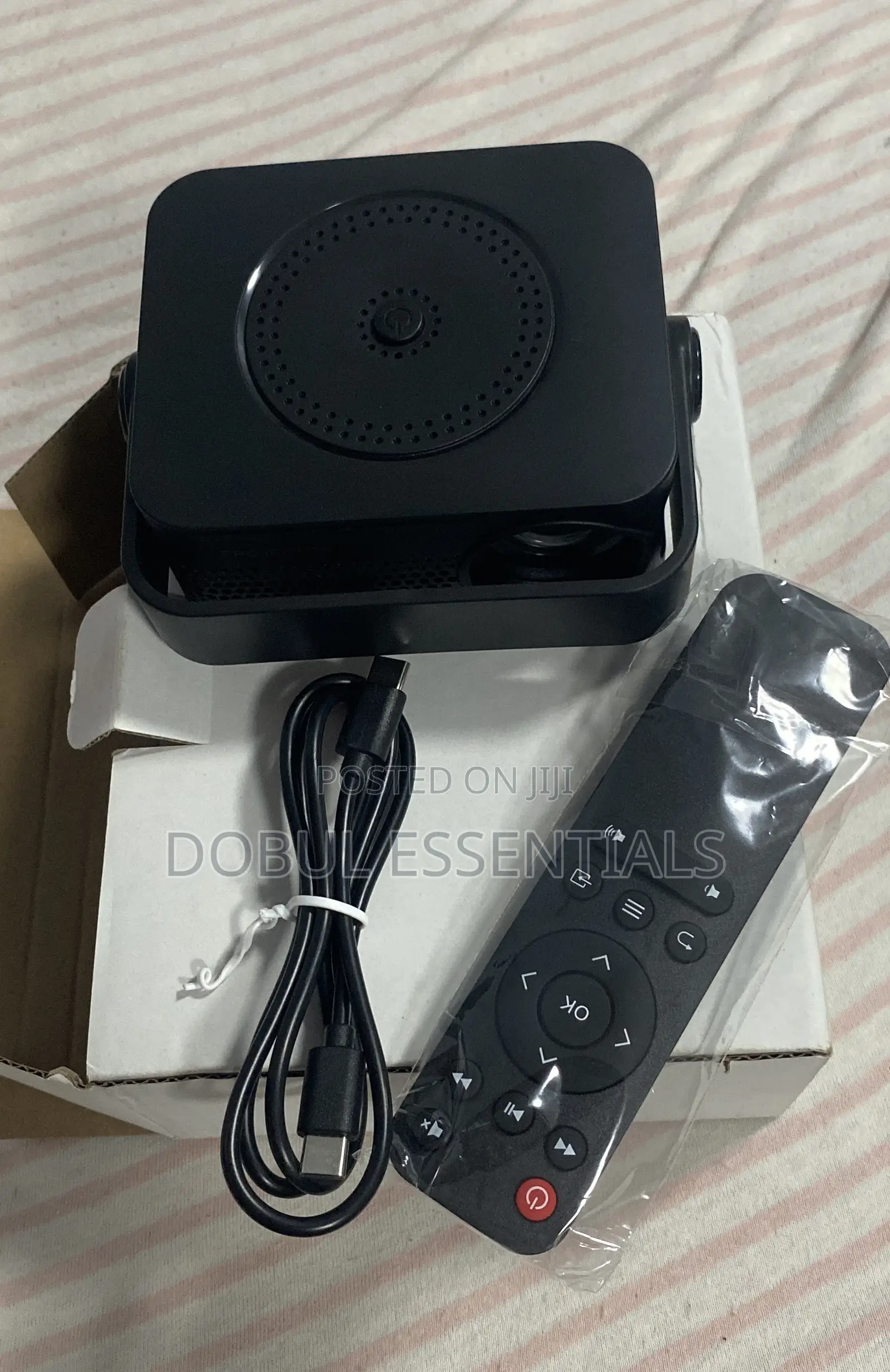 Portable Projector