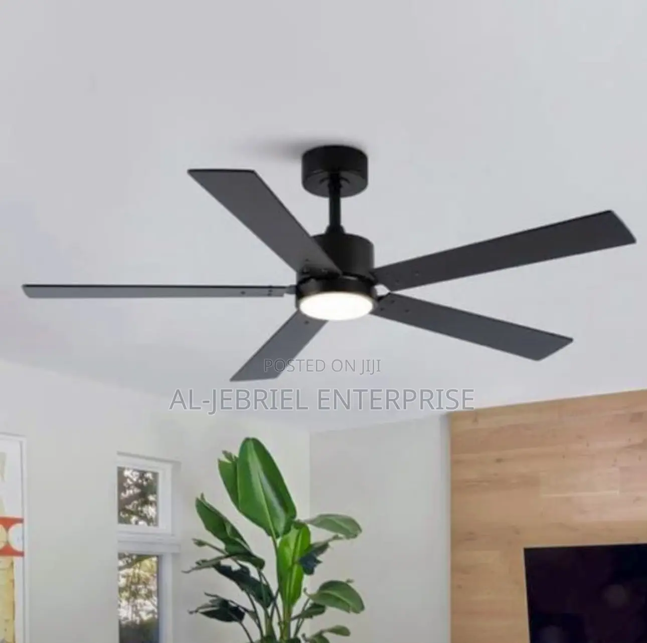 Black 5 Blades Ceiling Fan With Light