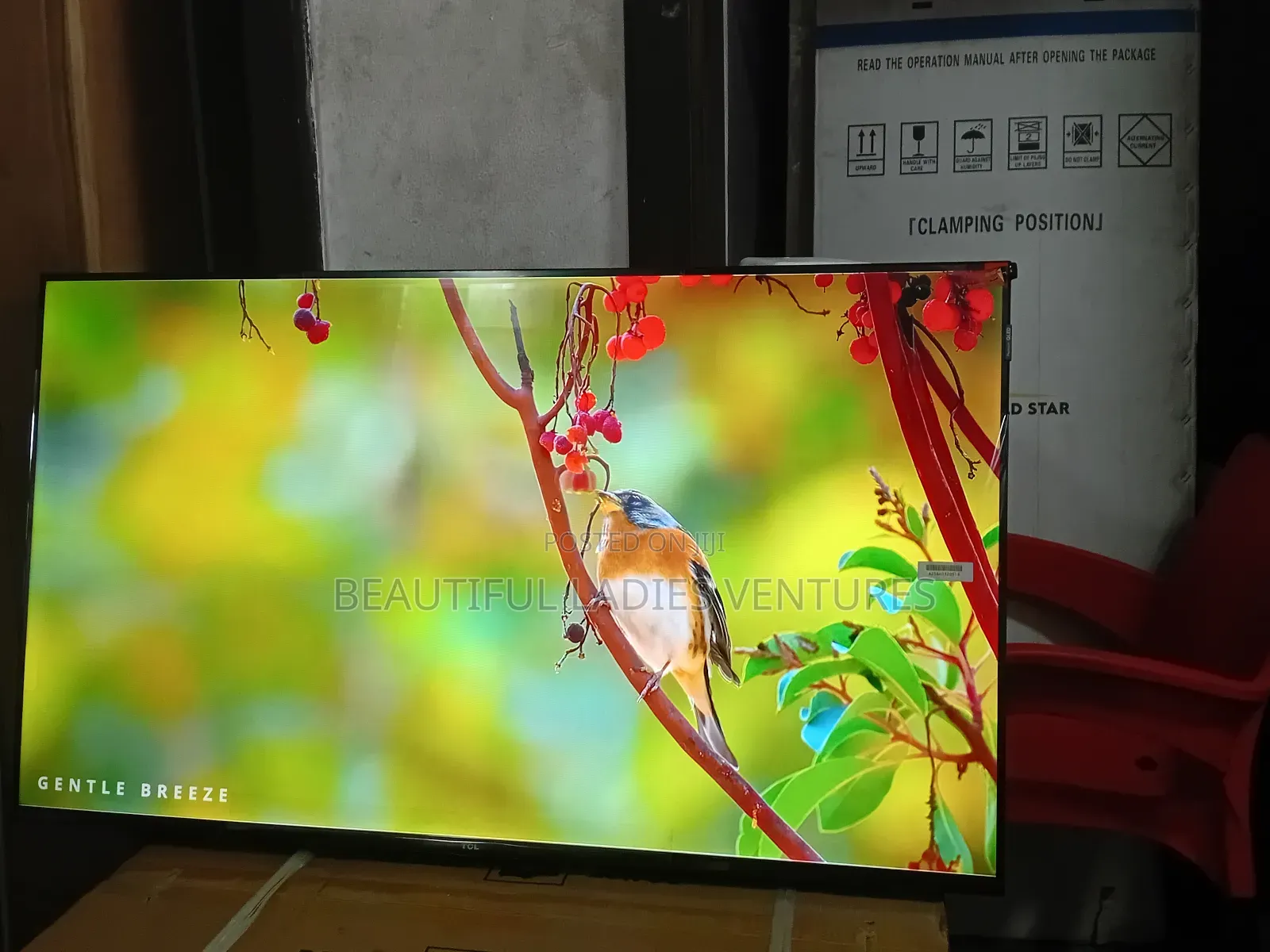 TCL 43-Inch Led Tv – Affordable Premium Viewing