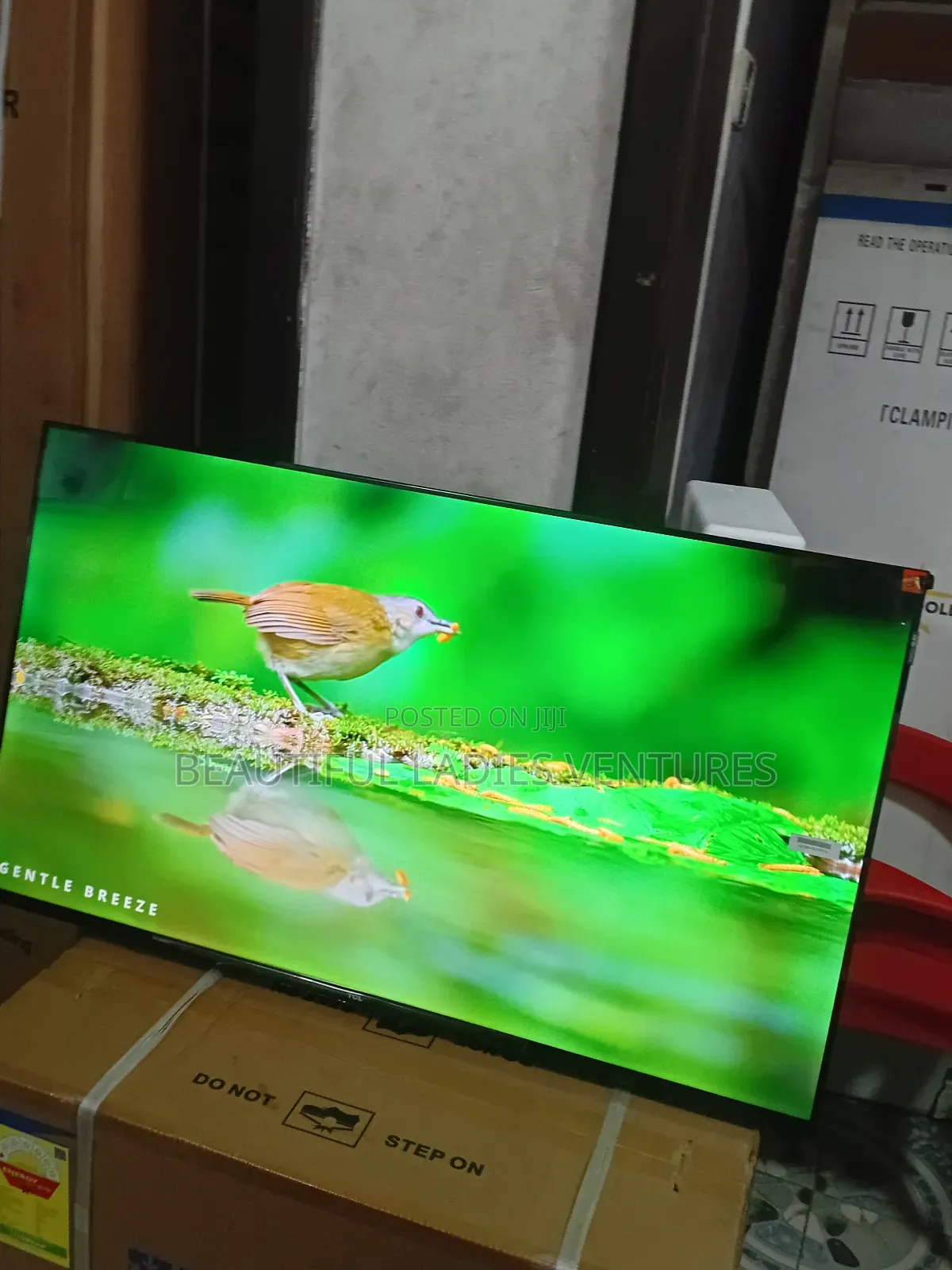 TCL 43” Smart Led Tv – Perfect for Home Entertainment