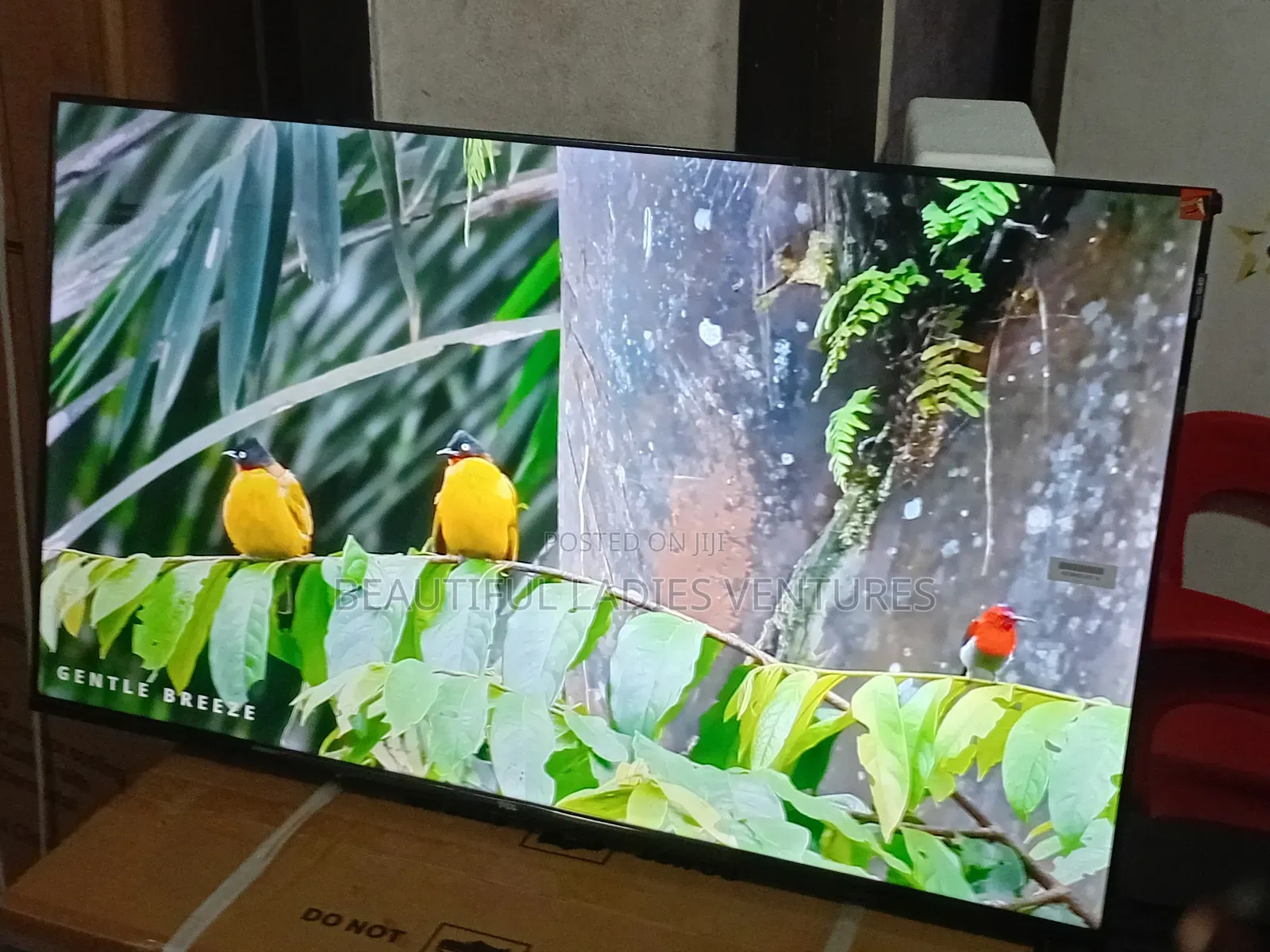 TCL 43-Inch Digital Tv – Stunning Picture Sound