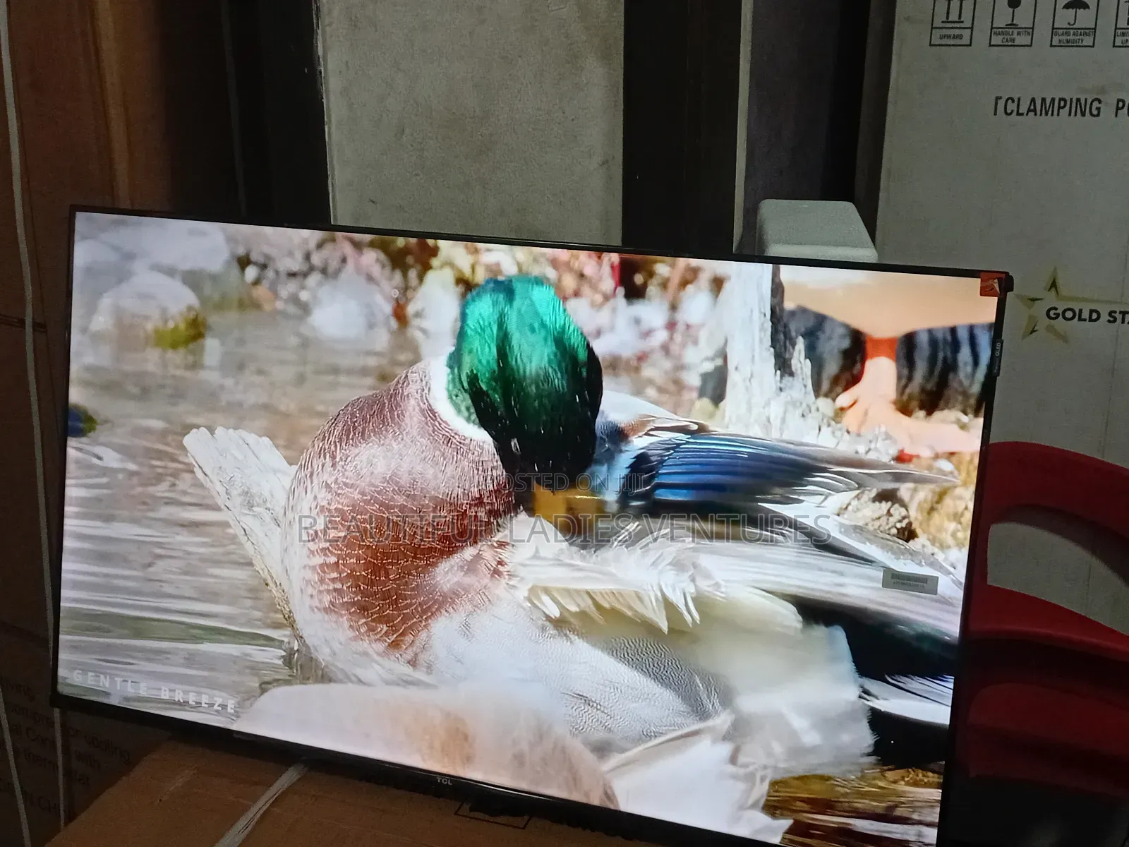 TCL 43” Smart Tv – Modern Design With Smart Features
