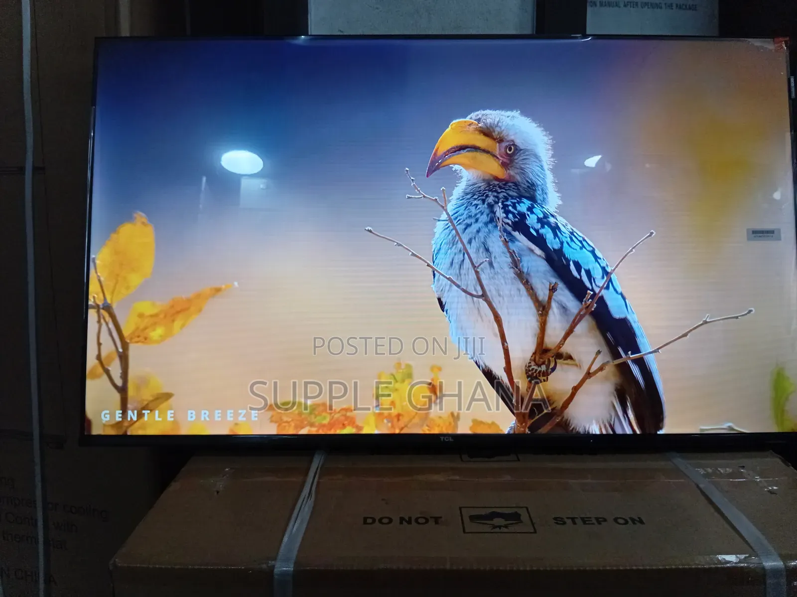TCL 43-Inch Tv – Sharp Picture, Smart Features