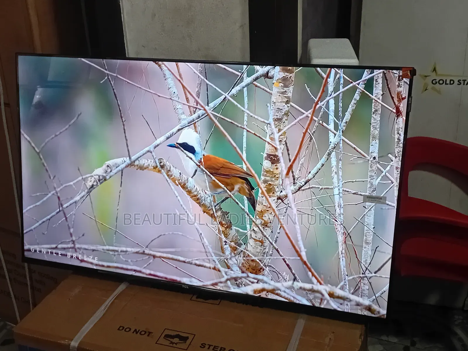 TCL 43-Inch Television – Enjoy Cinema at Home
