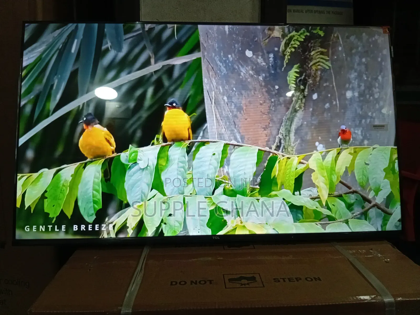 Enjoy Cinematic Clarity With TCL 43” Led Tv