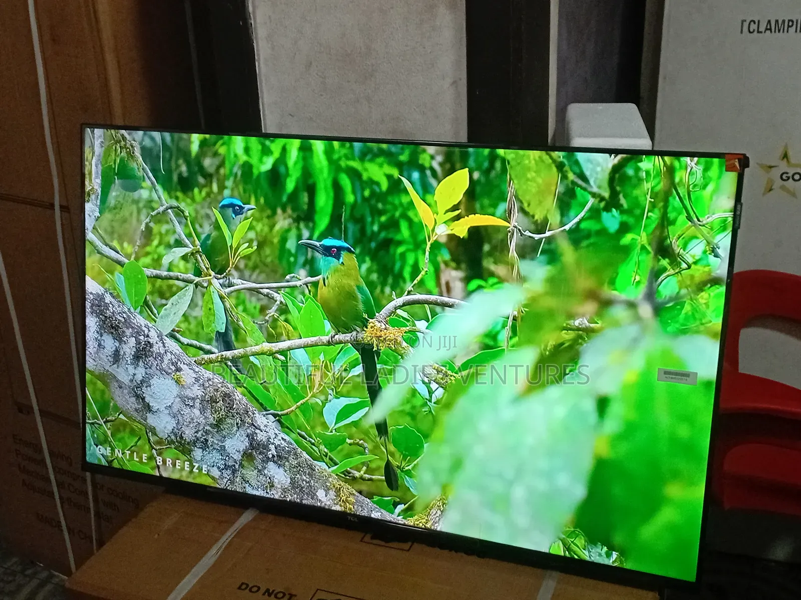 TCL 43” Led Smart Tv – Built for Everyday Entertainment
