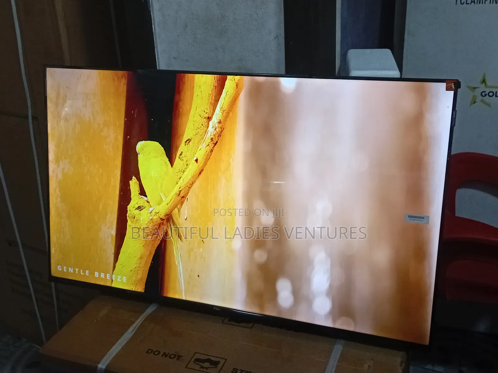 TCL 43” Led Smart Tv – Built for Everyday Entertainment
