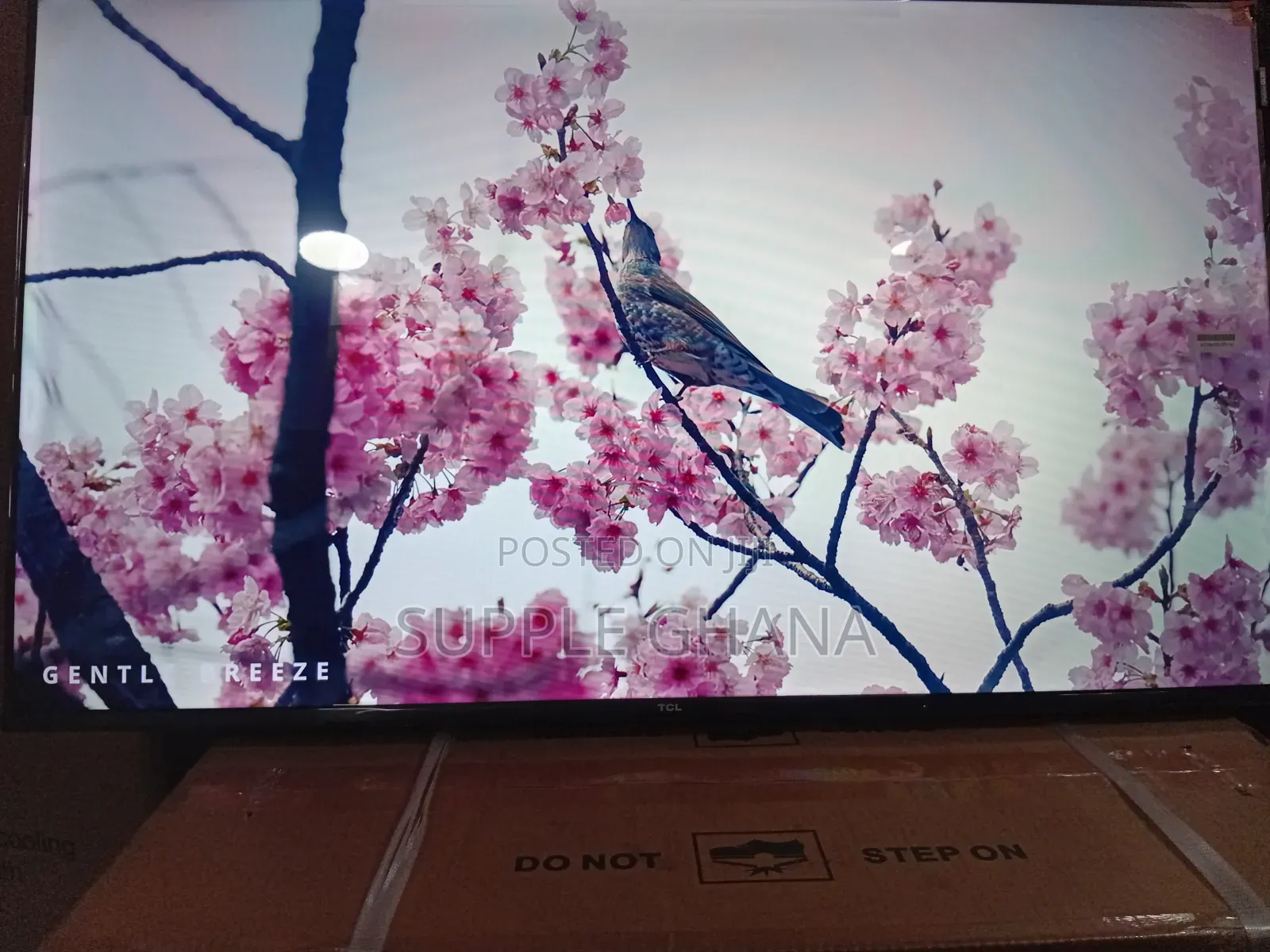 TCL 43-Inch Smart Tv – Enjoy More Every Day