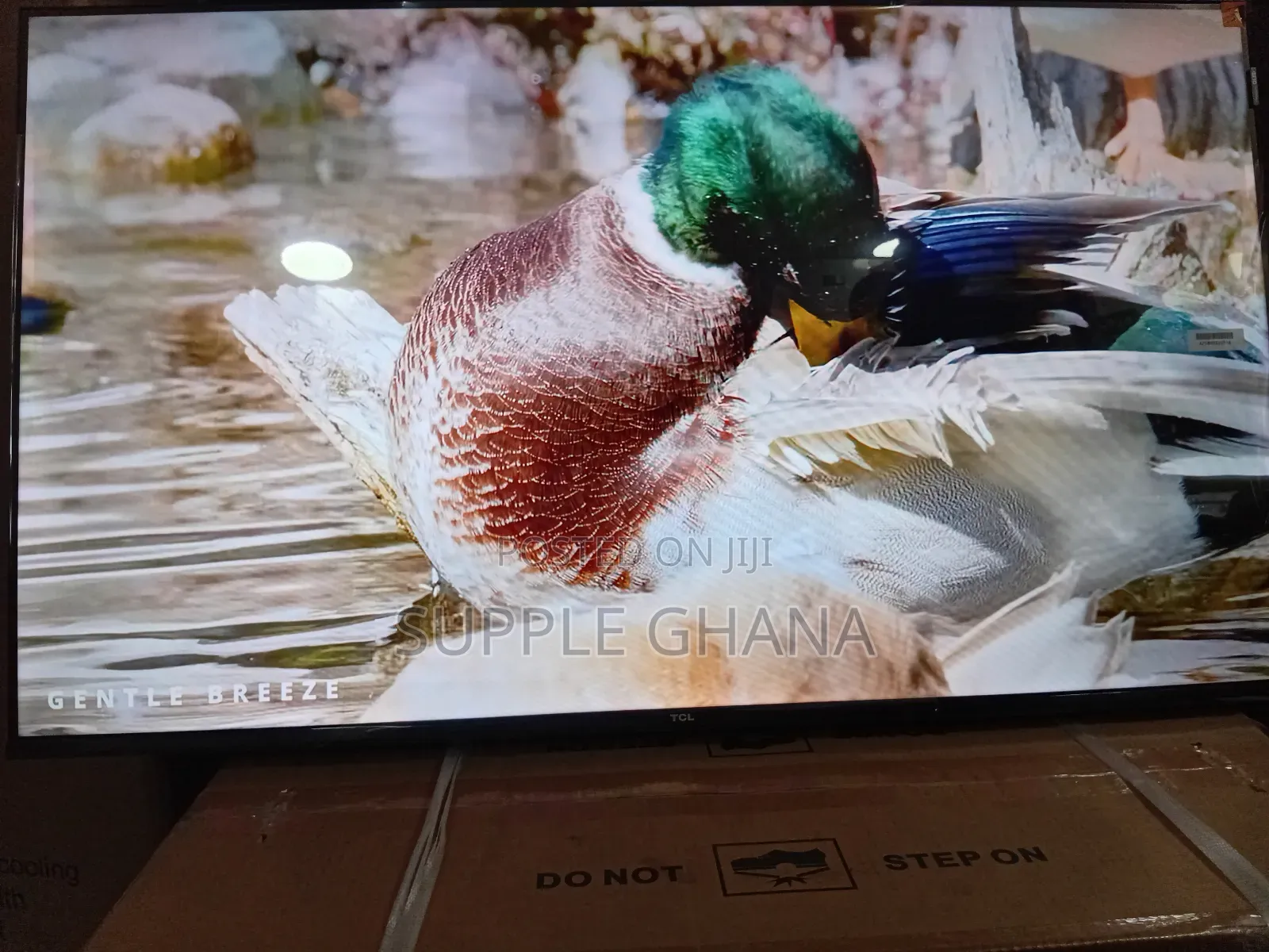 TCL 43-Inch Smart Tv – Enjoy More Every Day