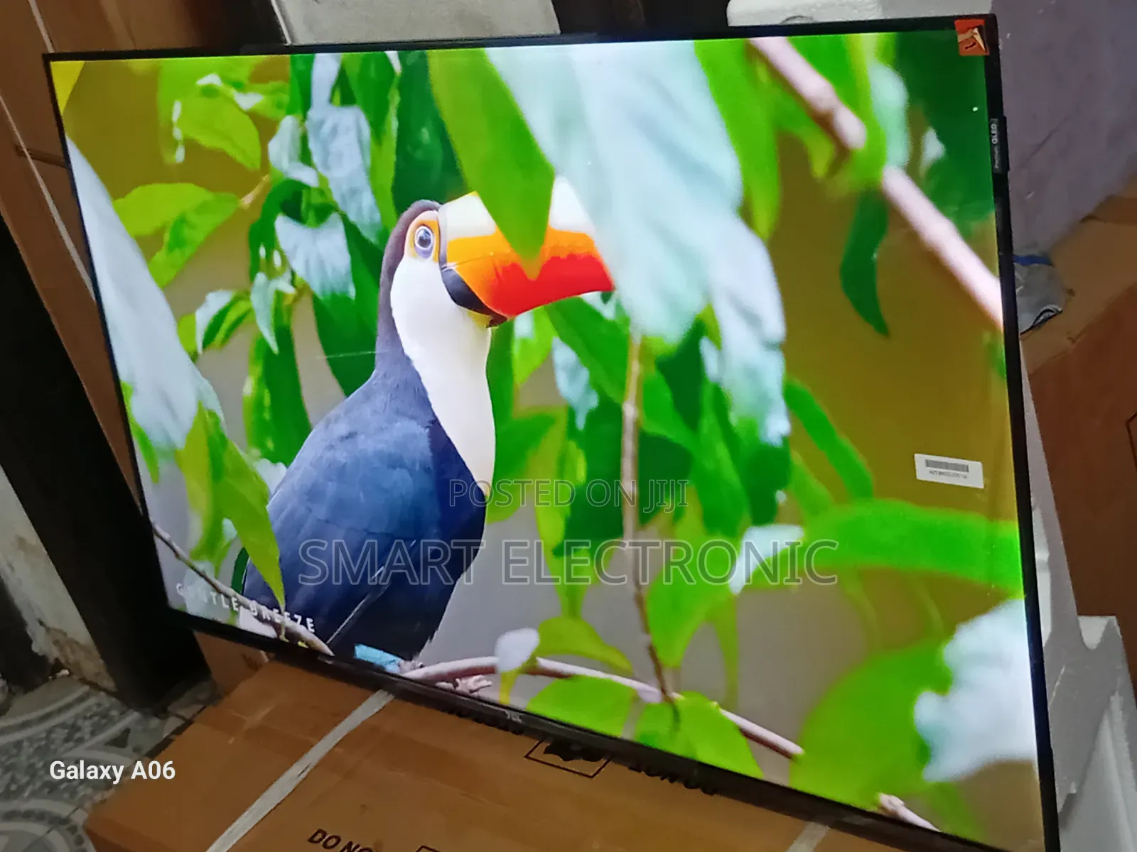 Brighten Your Viewing With TCL 43-Inch Tv