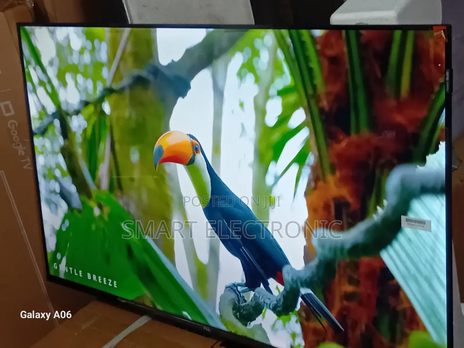 Big Entertainment in a Compact TCL 43-Inch Tv