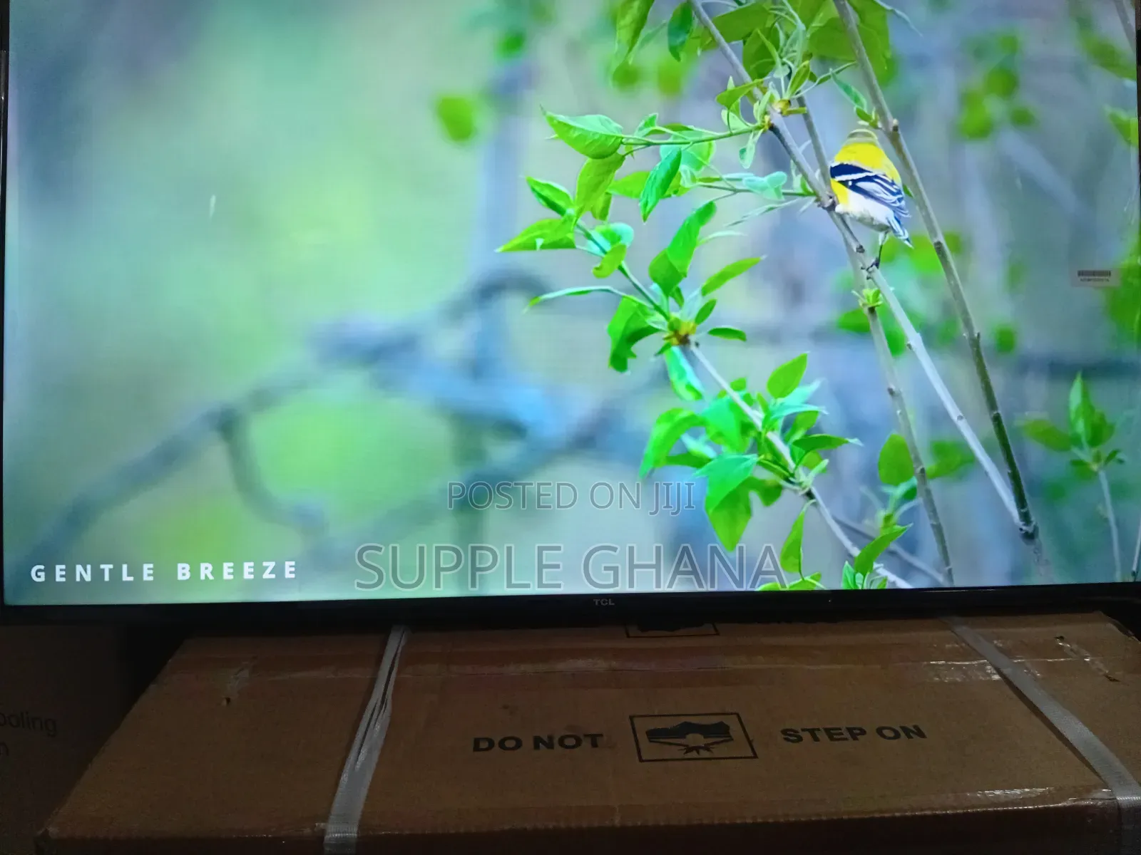 TCL 43-Inch Television – Crisp, Clear, and Smart