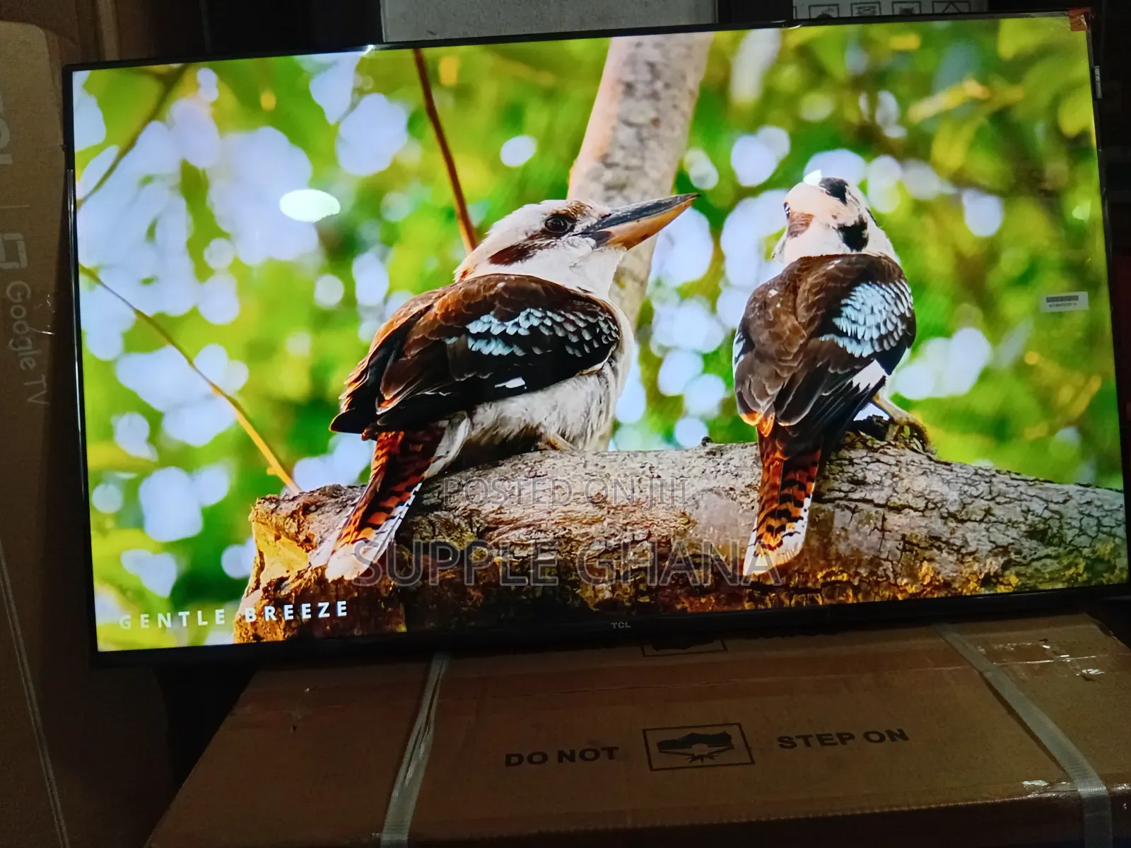 TCL 43” Smart Tv – Clear Vision, Smart Living