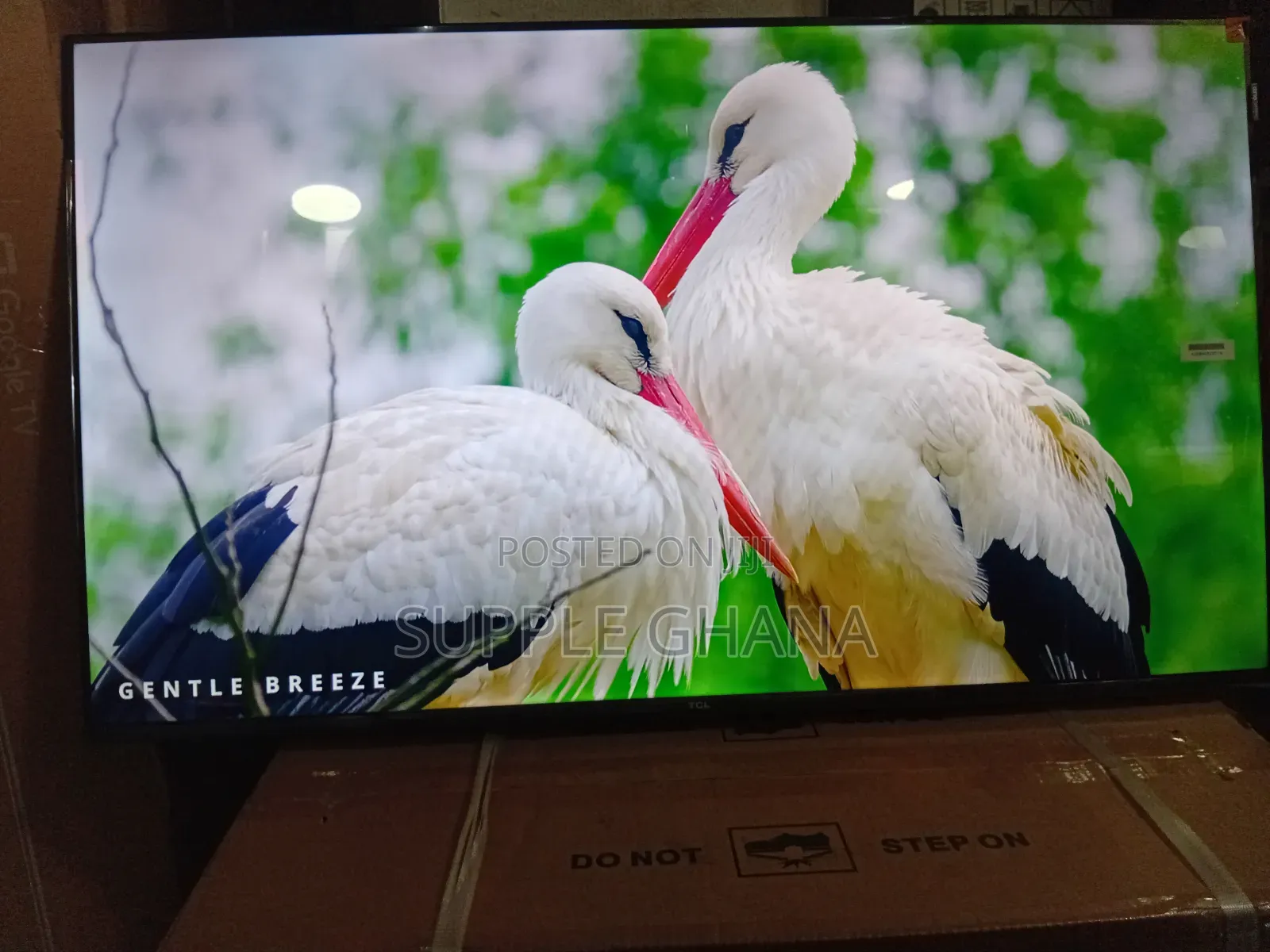 TCL 43-Inch Tv – The Smart Entertainment Choice