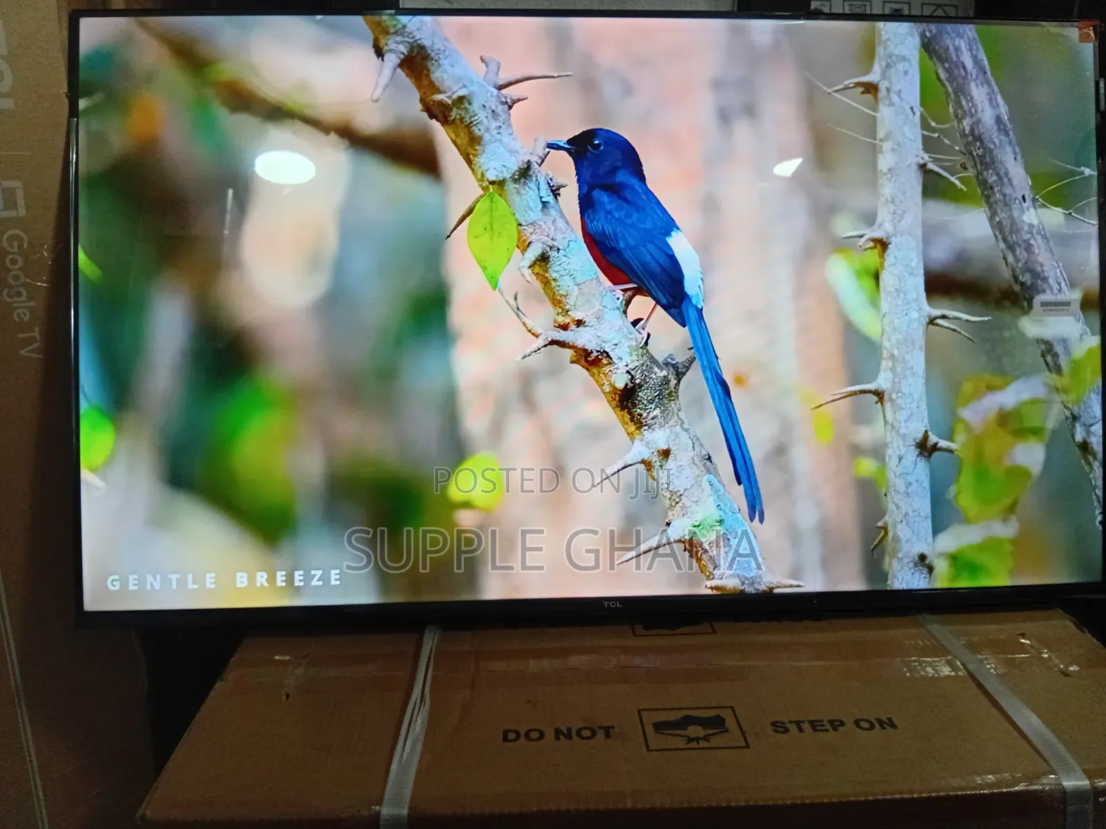 TCL 43-Inch Tv – The Smart Entertainment Choice