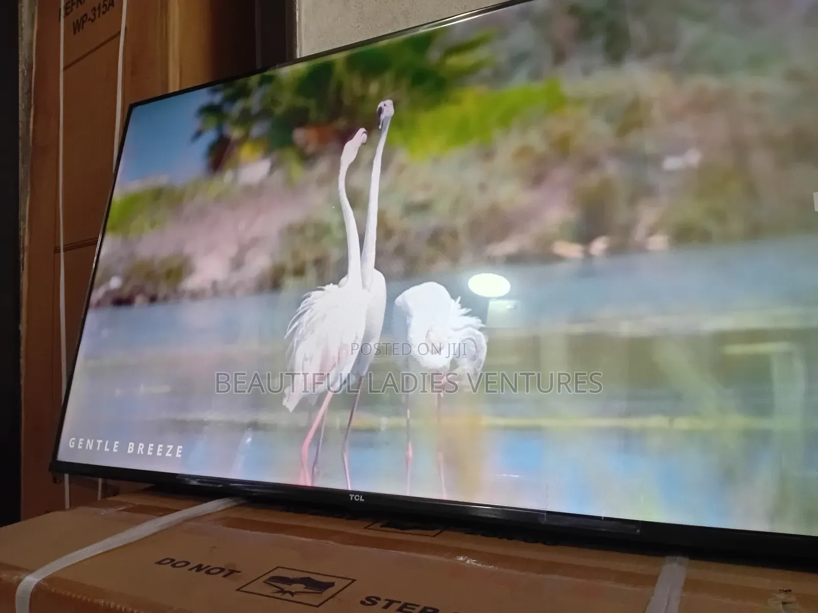 TCL 43-Inch Tv – Clear Picture, Smart Performance