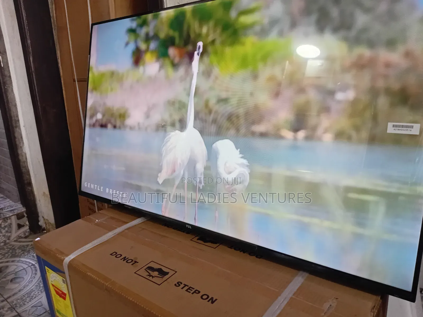 TCL 43-Inch Tv – Clear Picture, Smart Performance