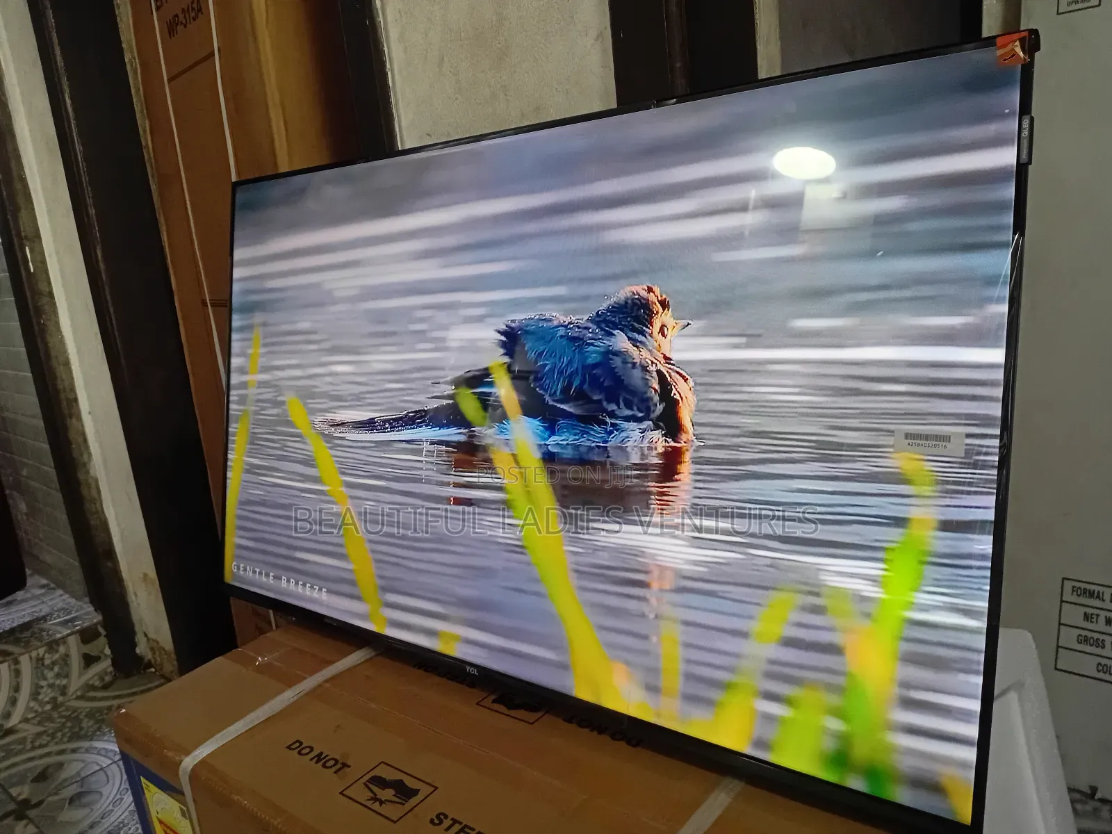 TCL 43” Smart Television – Modern Tech for Your Home