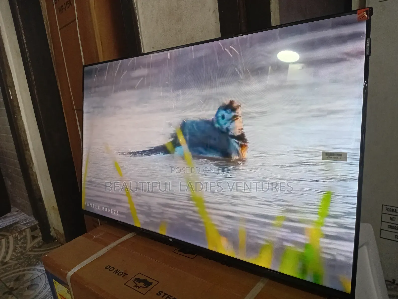 TCL 43” Smart Television – Modern Tech for Your Home
