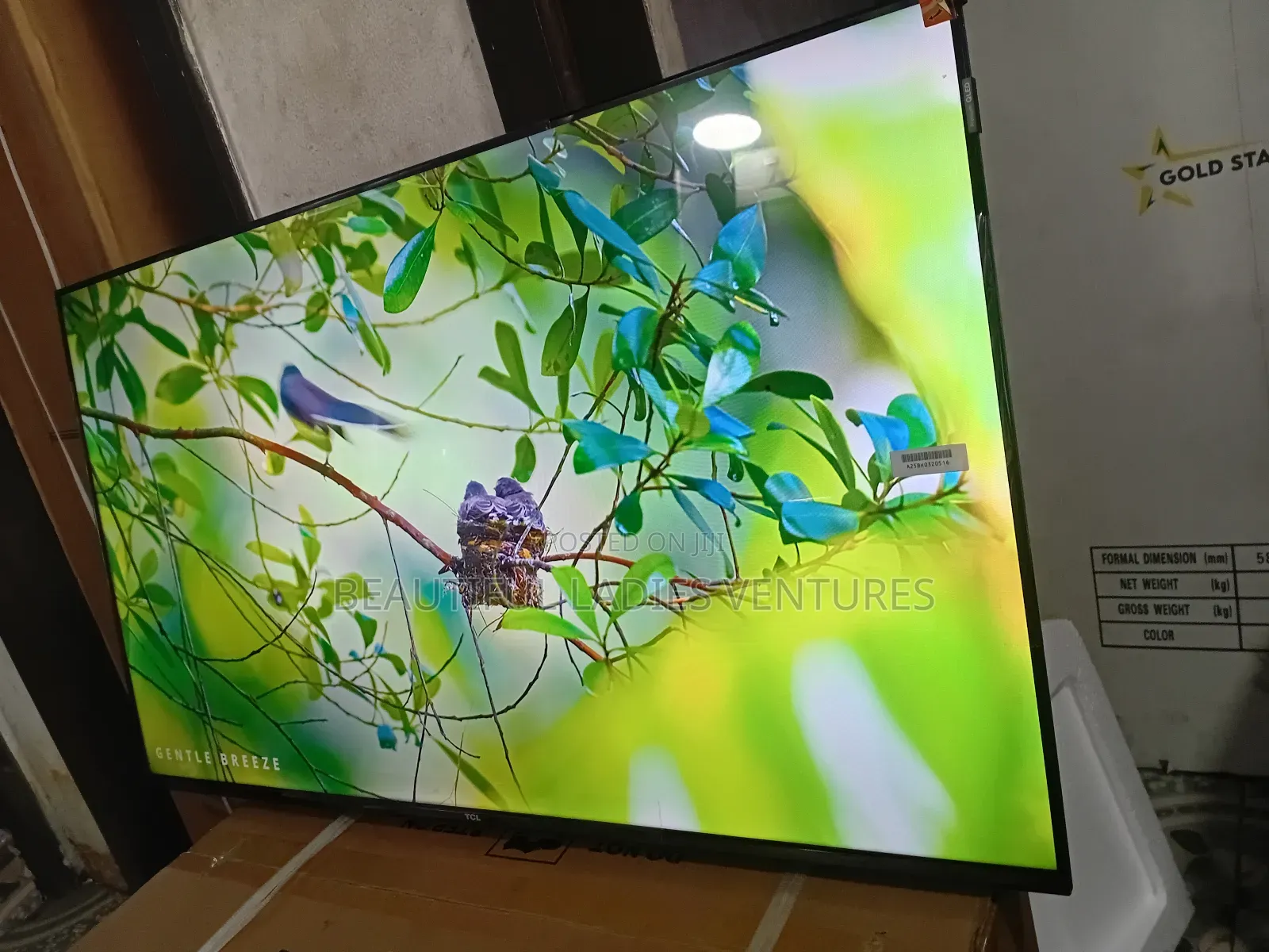 TCL 43-Inch Television – Entertainment Made Easy