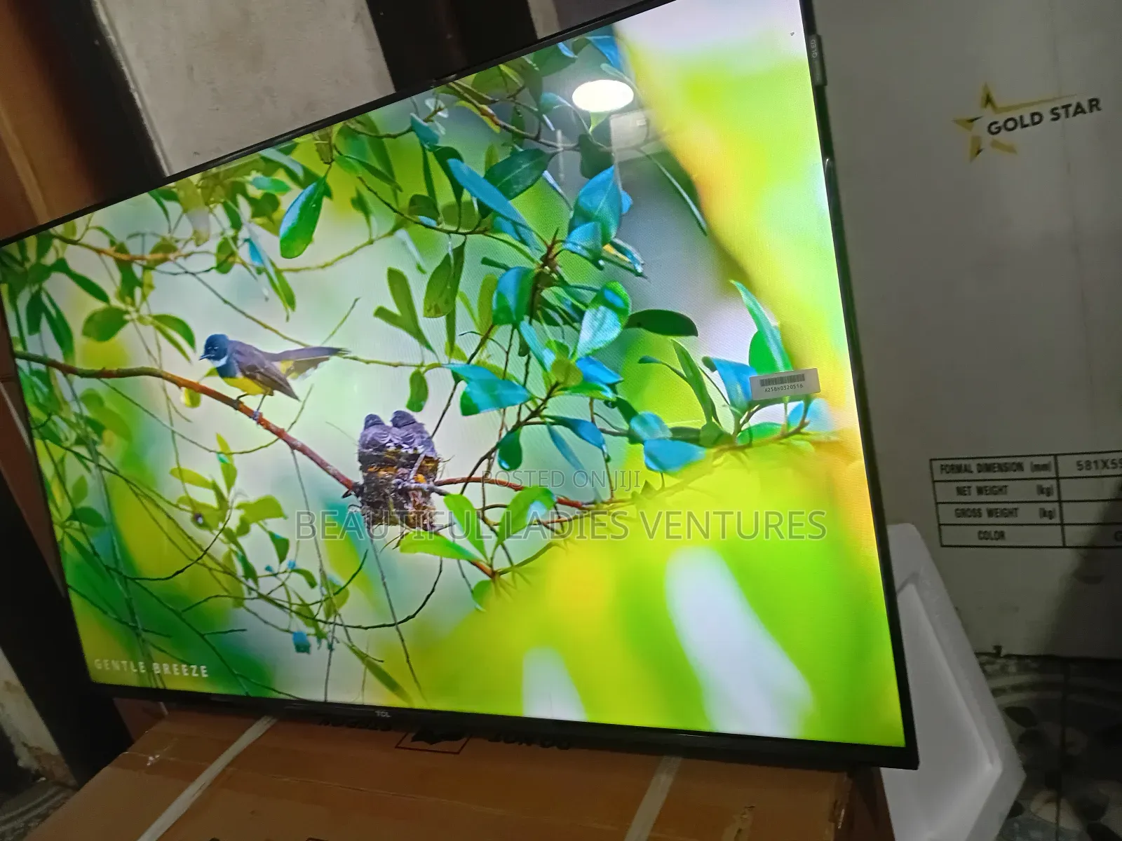 TCL 43-Inch Television – Entertainment Made Easy