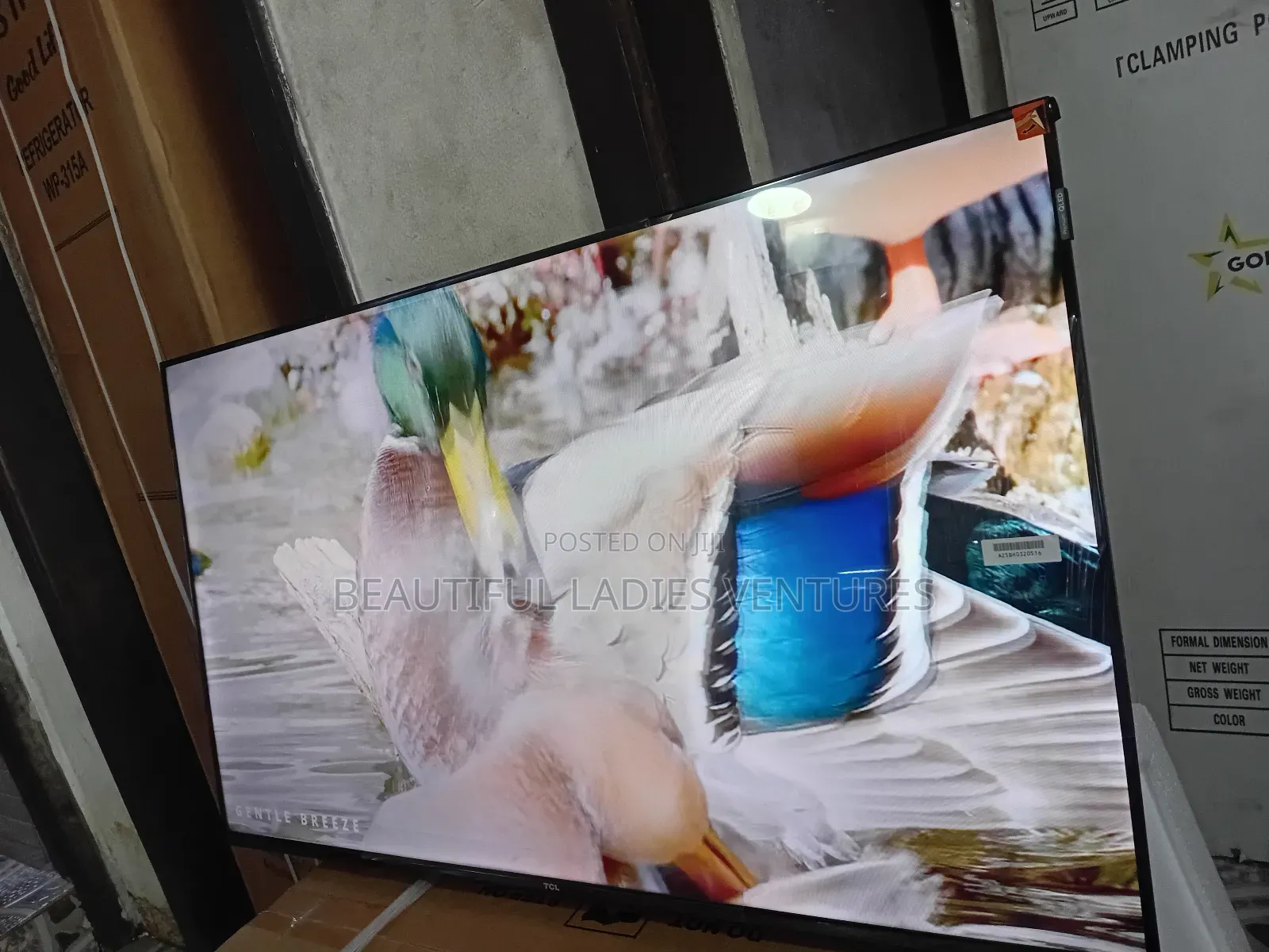 TCL 43-Inch Led Tv – High Definition Viewing Experience