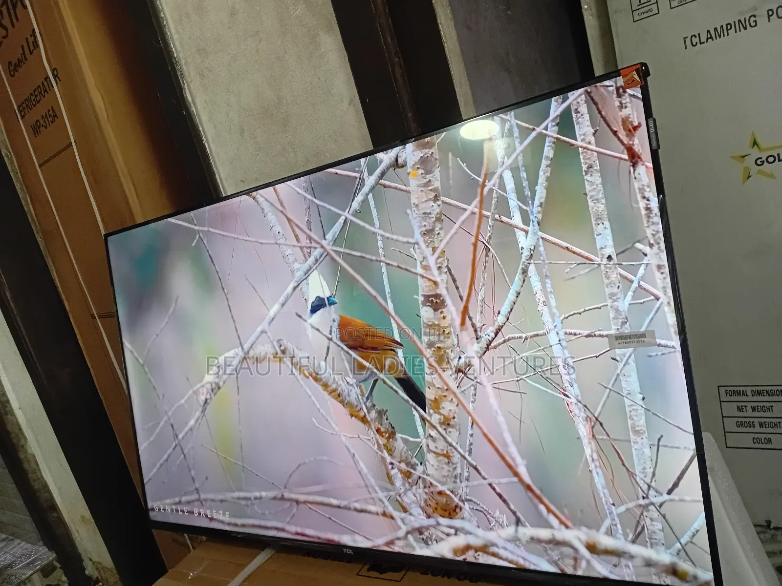 TCL 43-Inch Led Tv – High Definition Viewing Experience