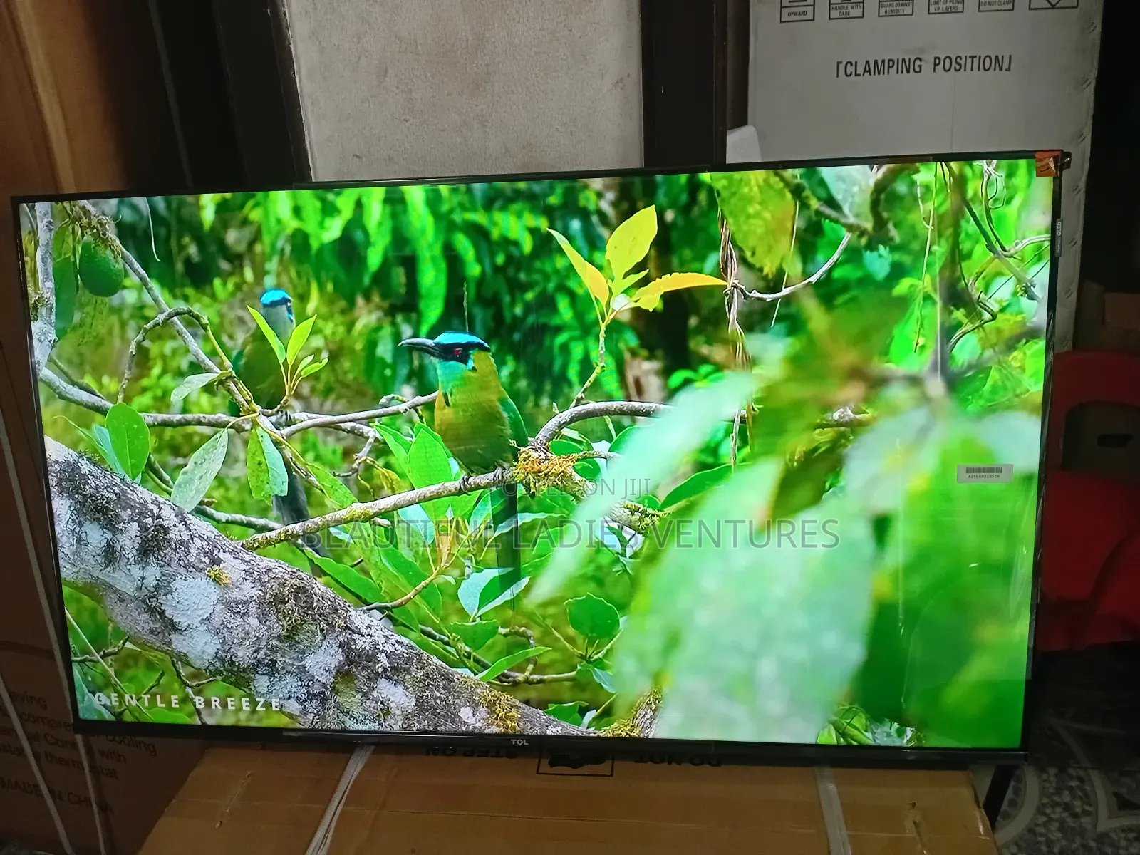 TCL 43” Smart Tv – Built-in Apps Smooth Performance