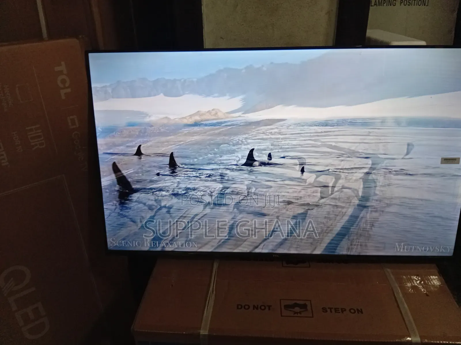 Watch, Stream, and Play With Ease on the TCL 43” Smart Tv
