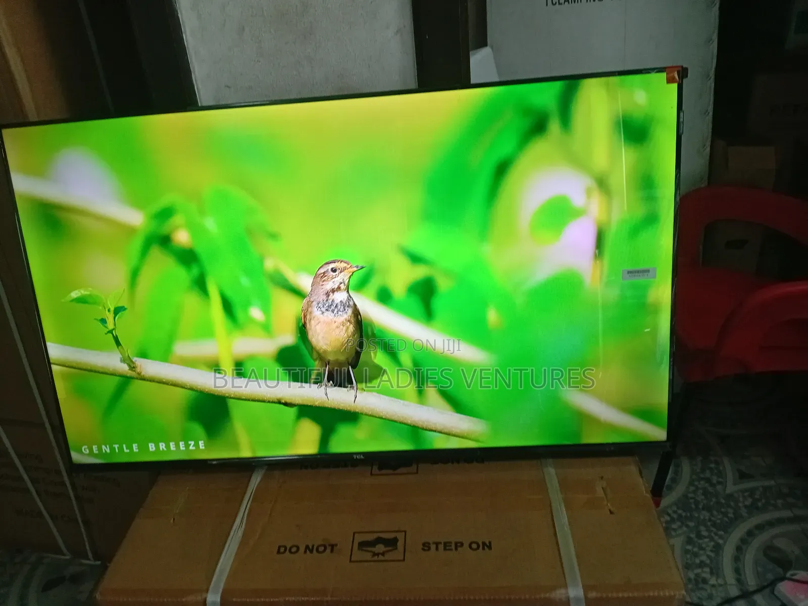 TCL 43” Tv – Slim Design With Brilliant Display Quality