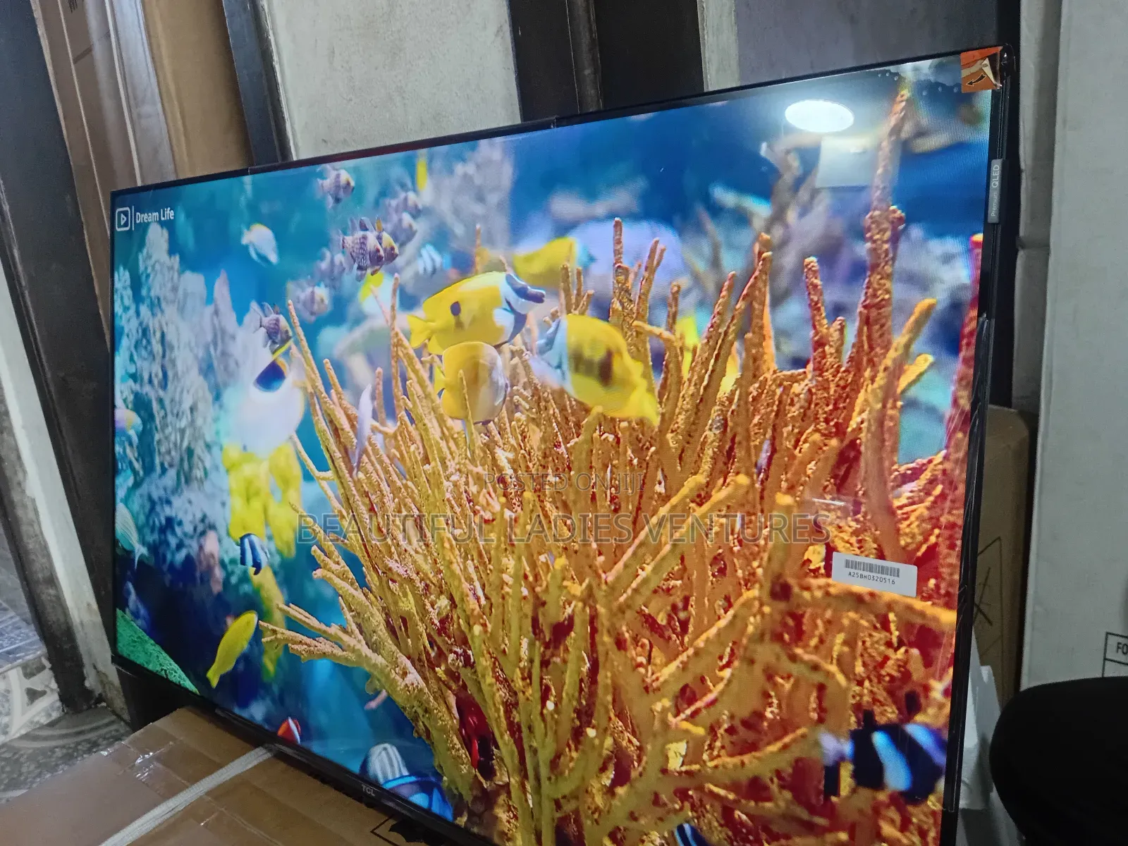 TCL 43-Inch Tv – Perfect Size for Living Room Bedroom