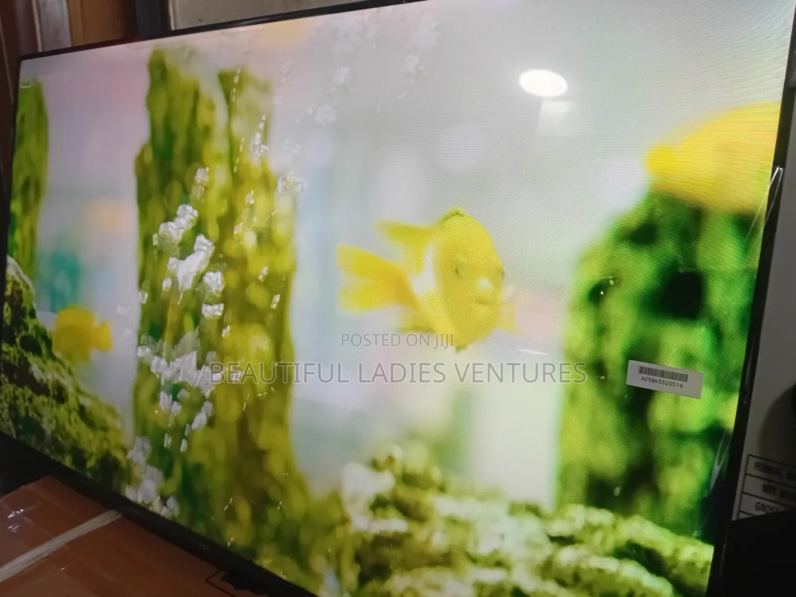 TCL 43” Smart Tv – Built-in Apps Sharp Visual Experience
