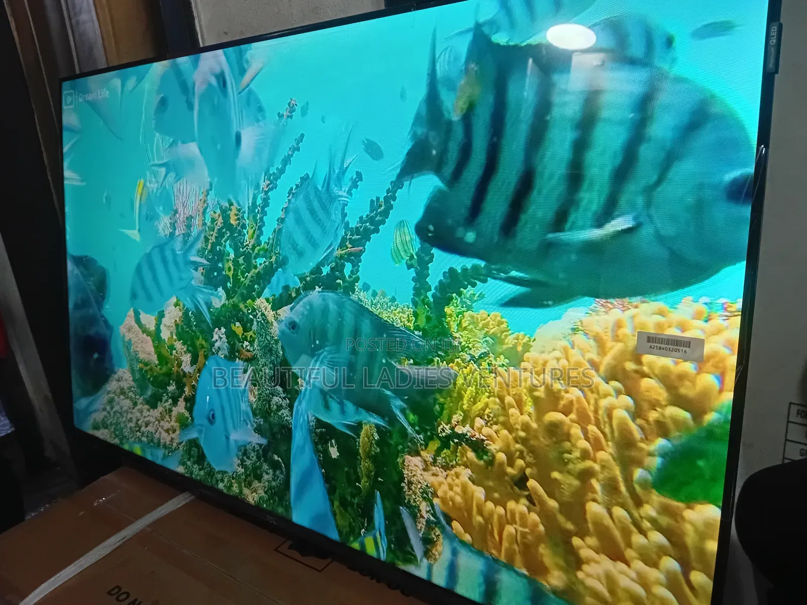 TCL 43” Full Hd Tv – Clear Sound Vivid Colors