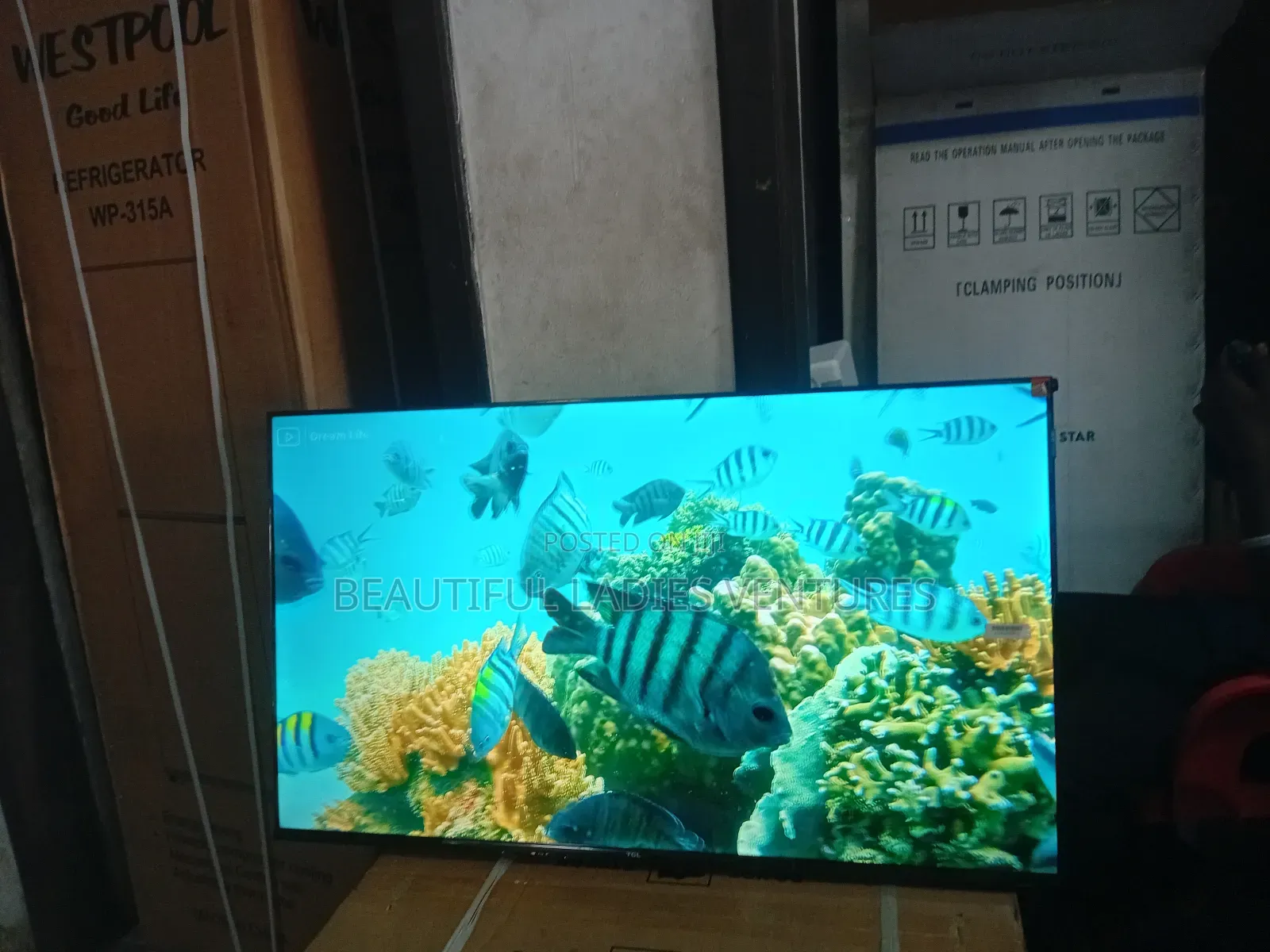 TCL 43-Inch Hd Tv – Compact Size, Big Entertainment