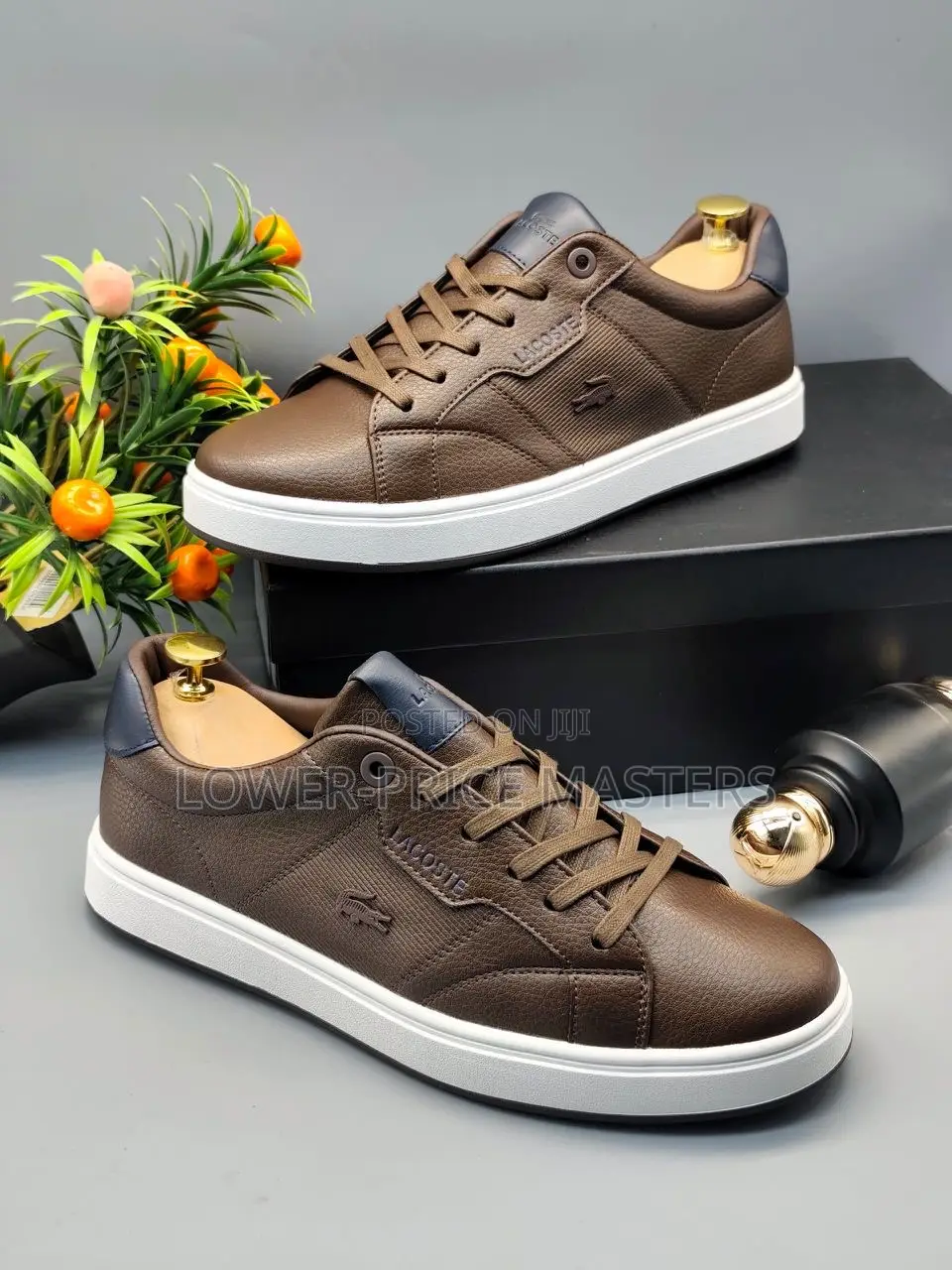 Lacoste Shoe