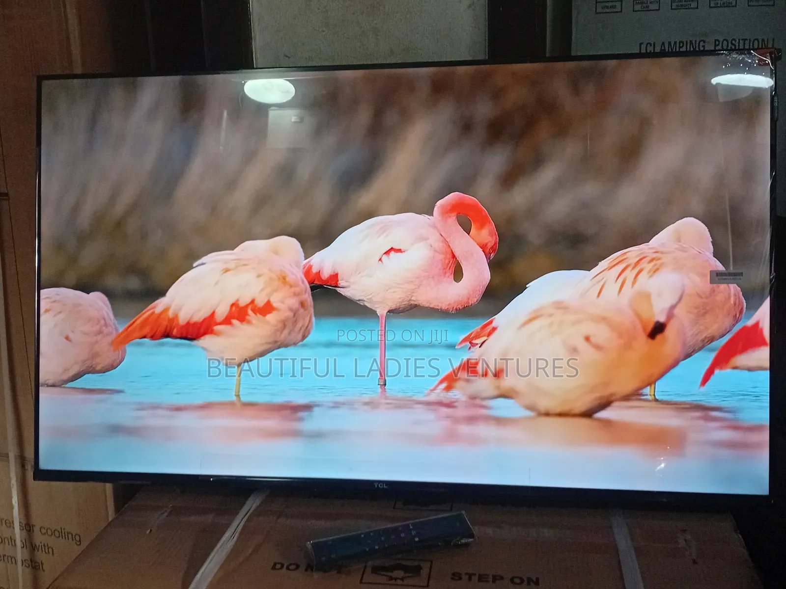 TCL 43-Inch Smart Display Tv – Smart Living Made Easy