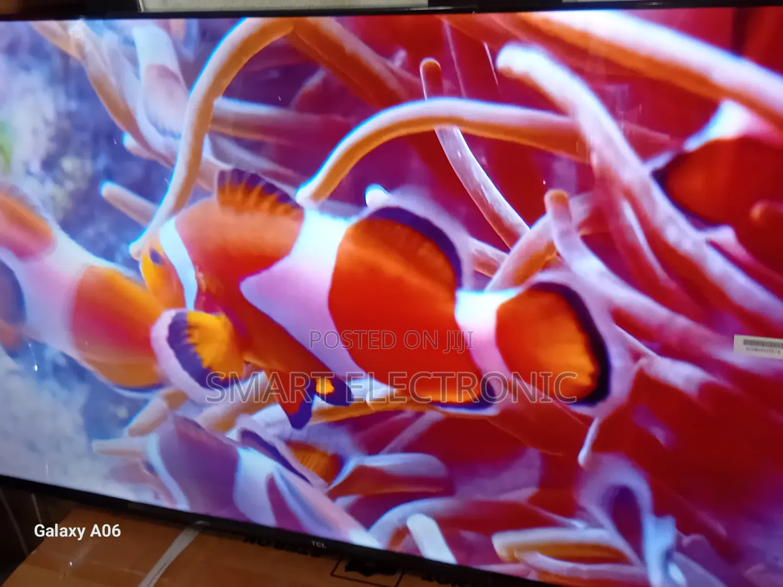 TCL 43-Inch Tv – Big Screen Experience on a Budget