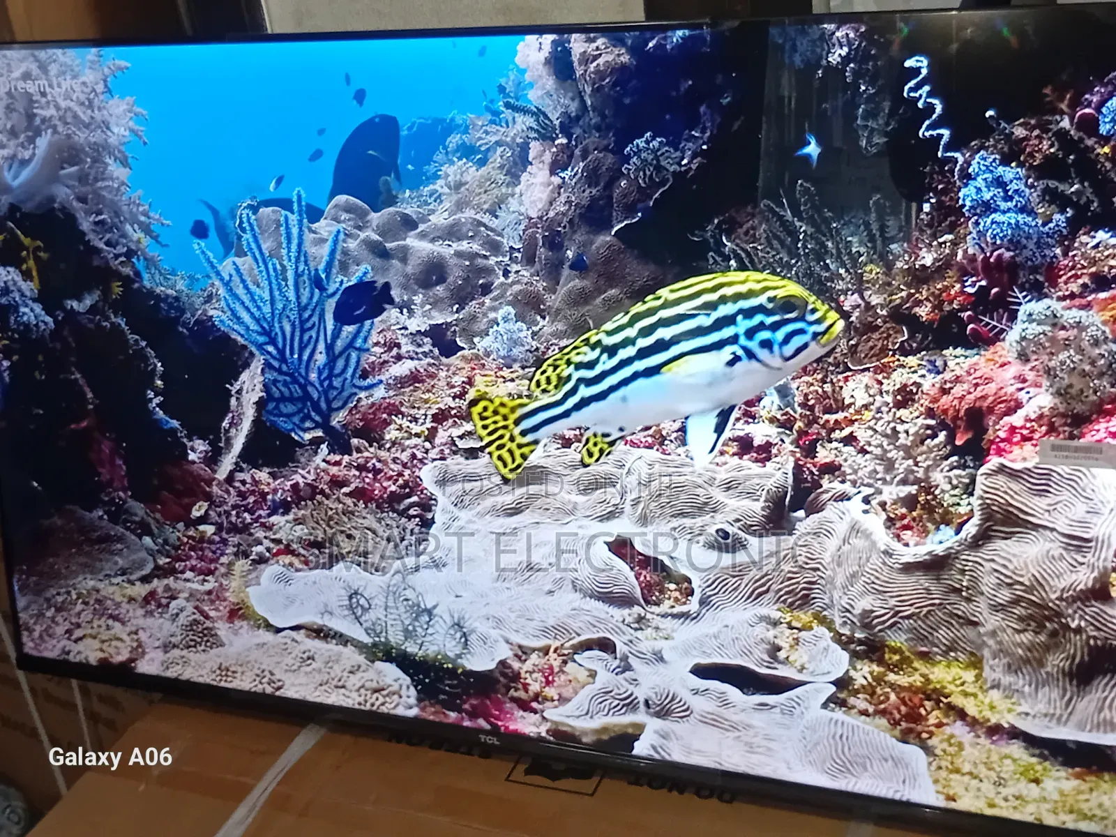TCL 43-Inch Smart Tv – Crystal Clear Full Hd Entertainment