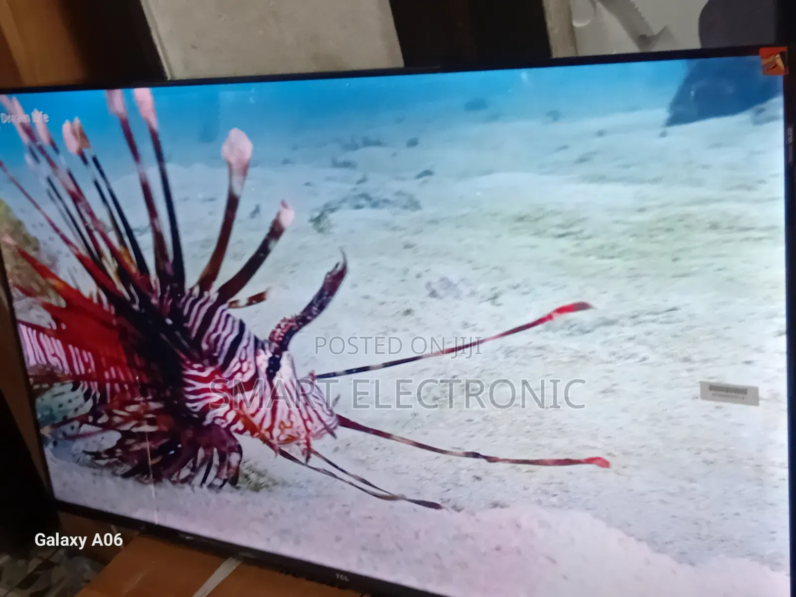 Experience Clarity With TCL 43-Inch Digital Tv