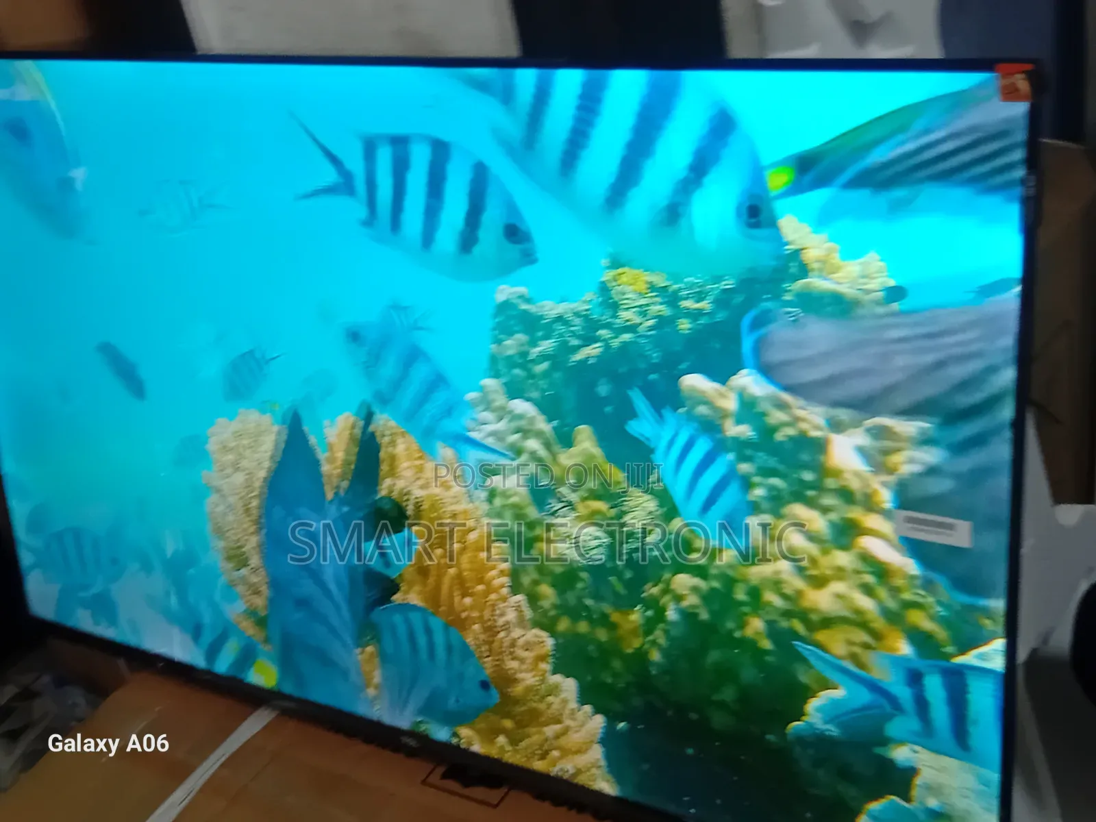 Experience Clarity With TCL 43-Inch Digital Tv