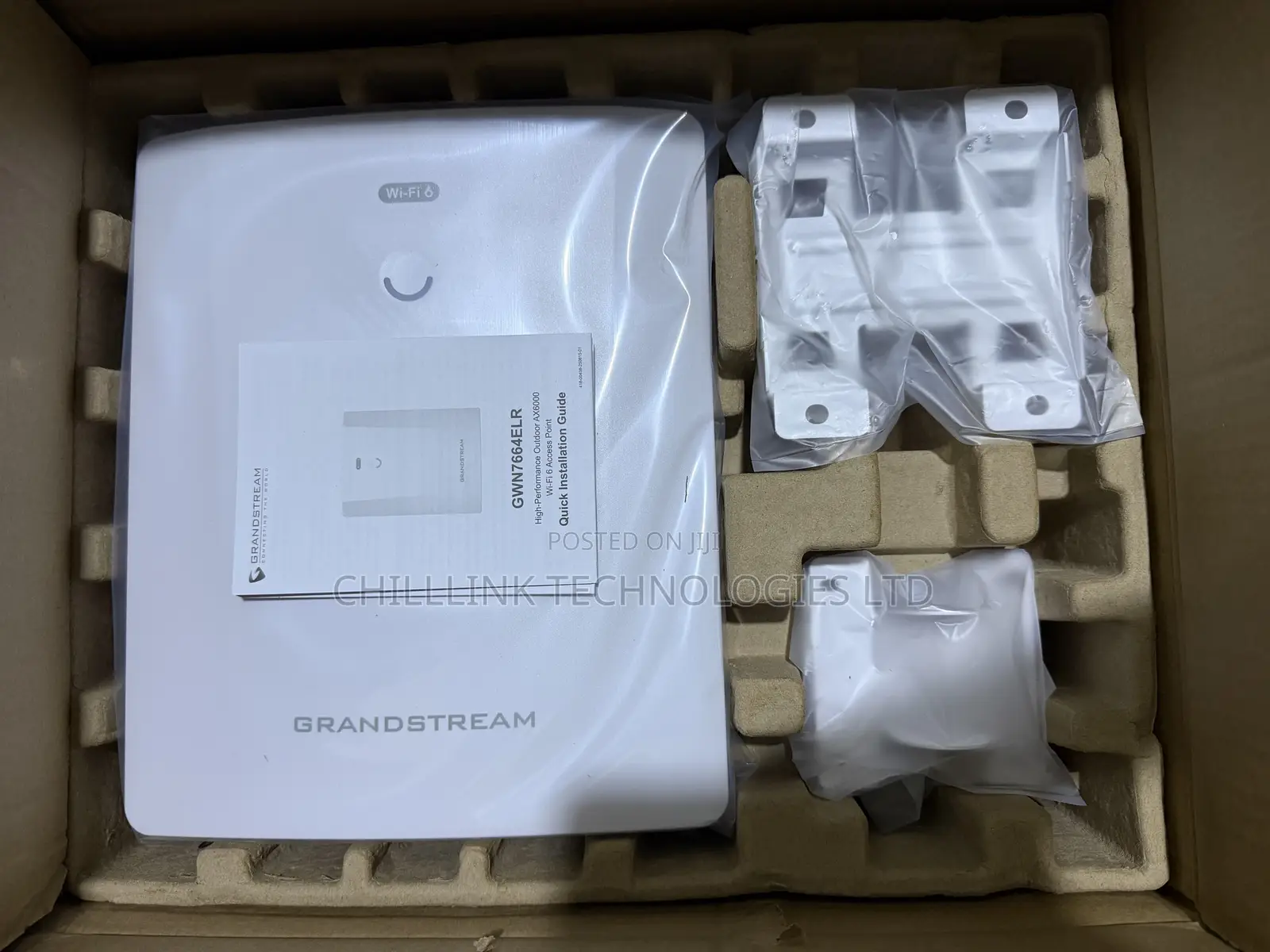 Grandstream Outdoor Long-Range Wi-Fi 6 Access Point Gwn7664elr