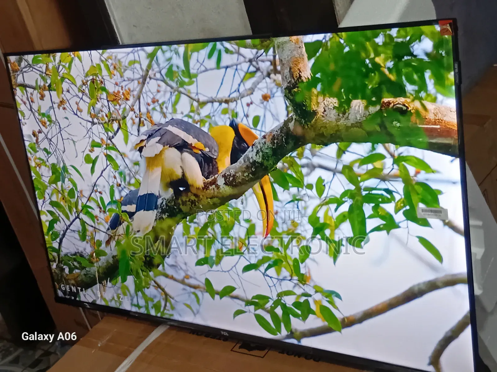 TCL 43-Inch Led Tv – Compact Size, Powerful Performance