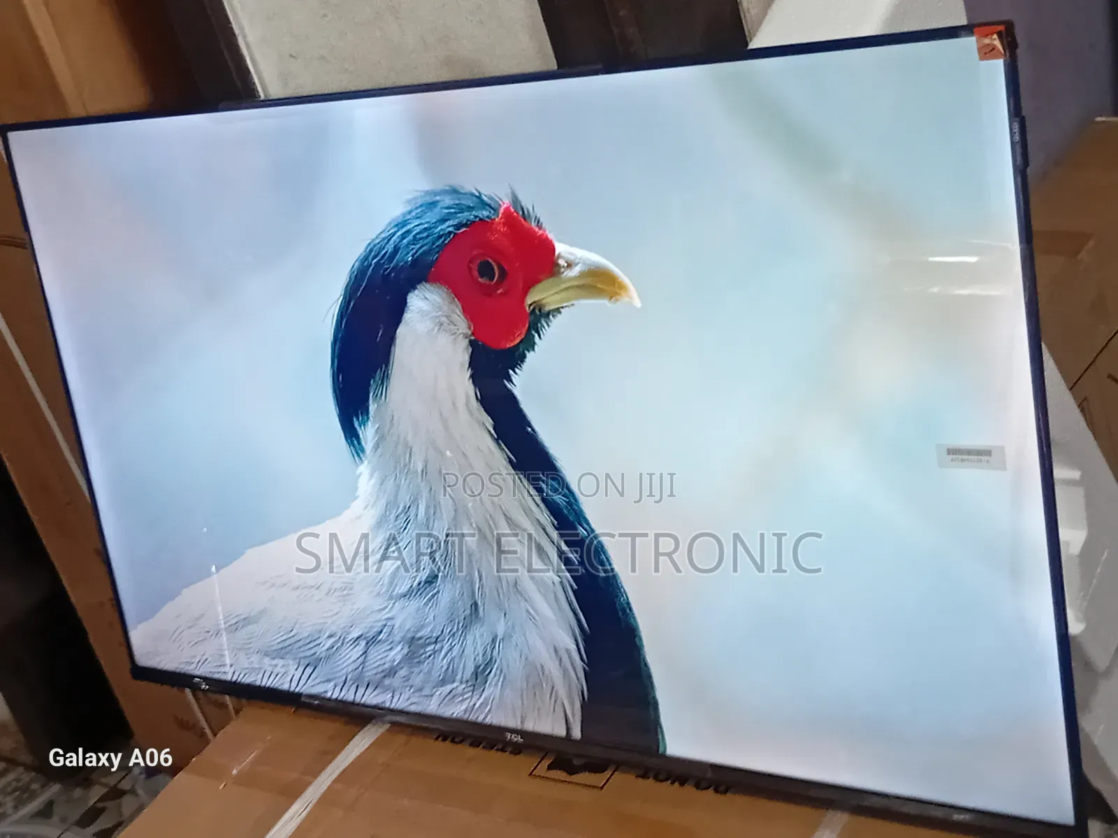 TCL 43-Inch Led Tv – Compact Size, Powerful Performance