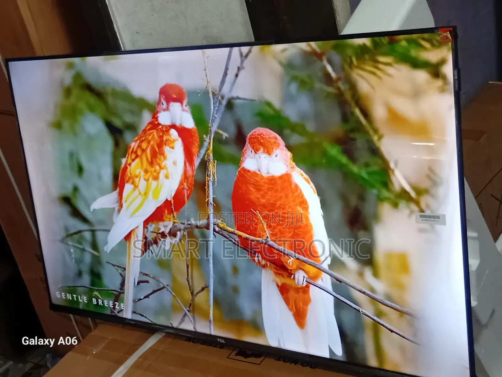 Discover Clarity With TCL 43-Inch Television