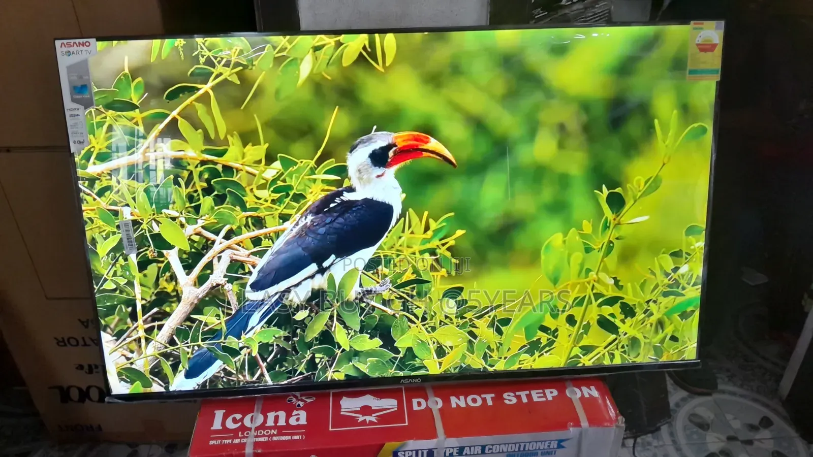 Crystal-Clear Moments on Ansano 50” Screen