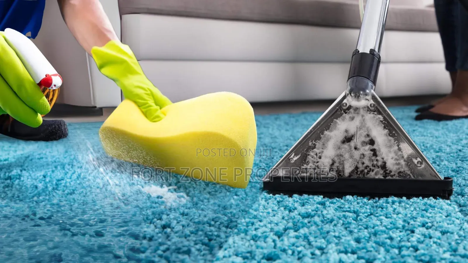 Vibrant Carpet and Floor Cleaners With Cleantex