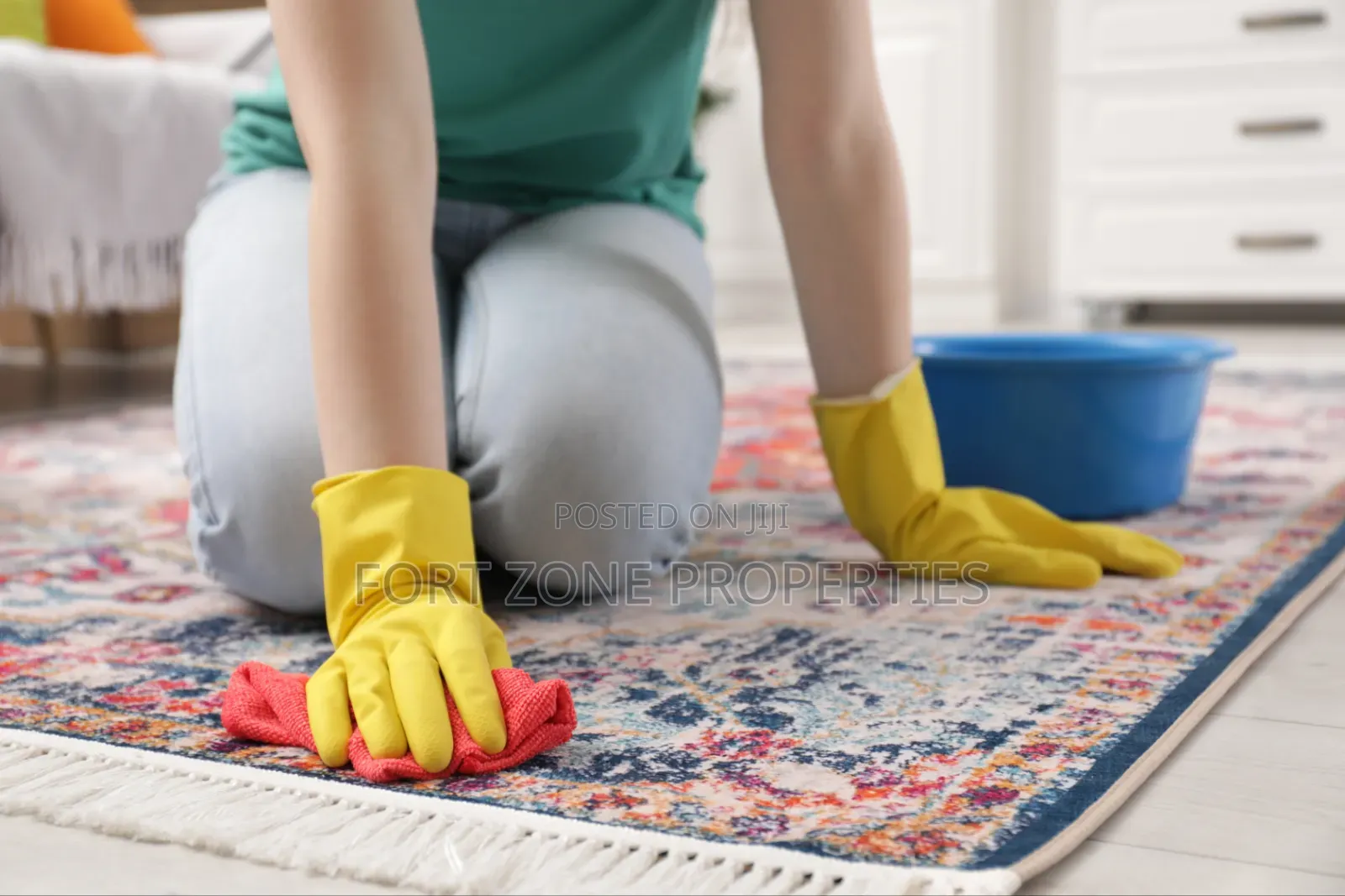 Vibrant Carpet and Floor Cleaners With Cleantex