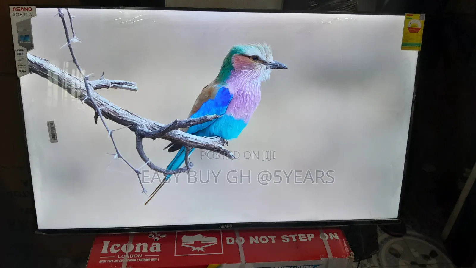 Big Screen. Bold Experience. Ansano 50-Inch Tv